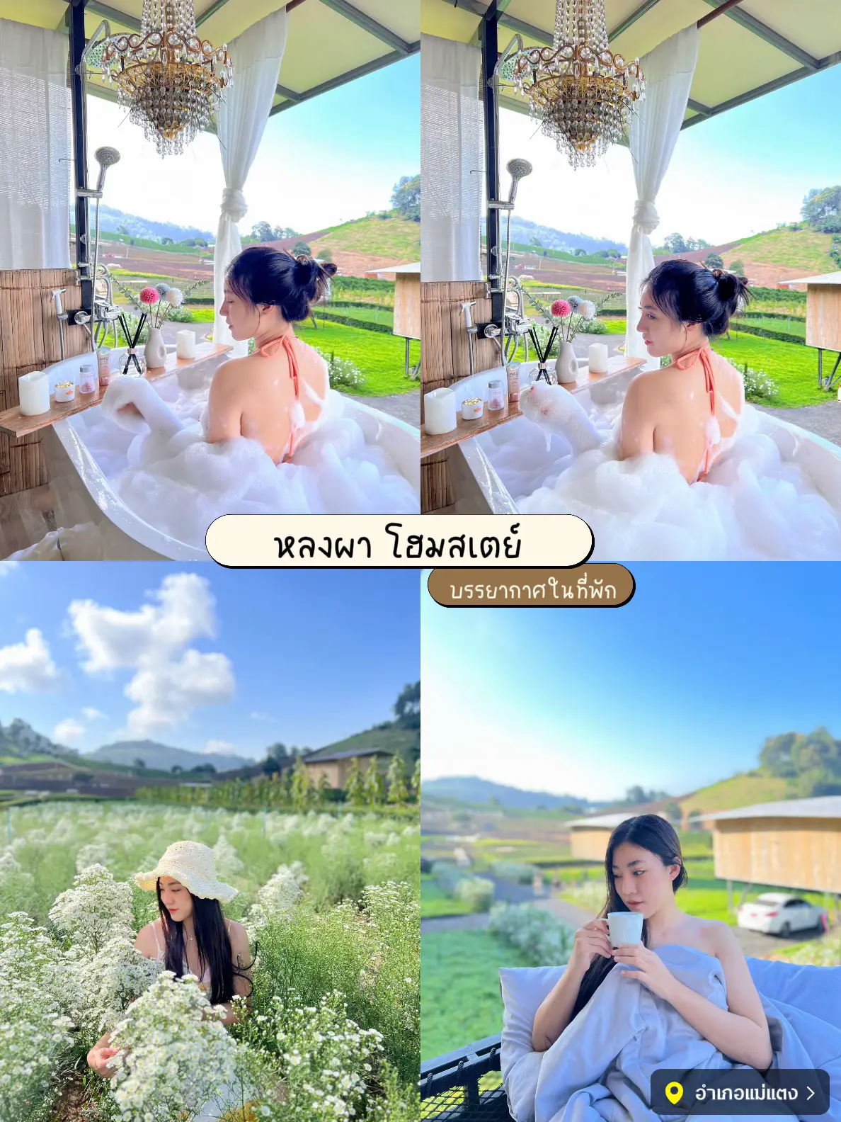 แจกพิกัดสถานที่เที่ยวในเชียงใหม่ Ep 2 จบเลย📍🍃 แกลเลอรีที่โพสต์โดย Mi Mtn🌷 Lemon8