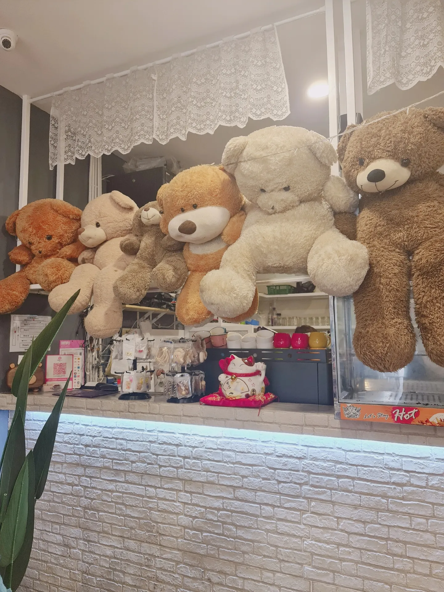 kedai teddy bear