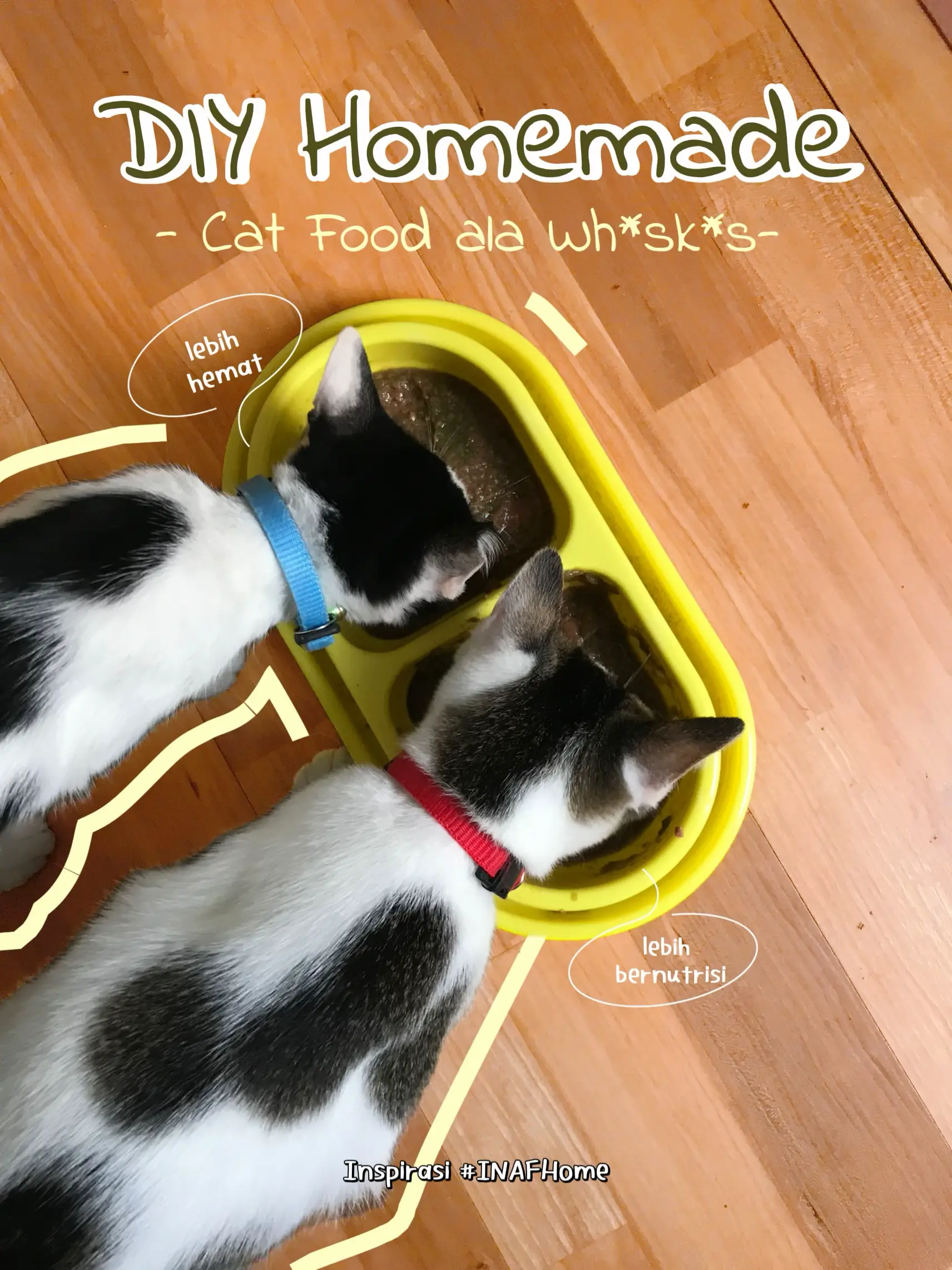 Homemade cat outlet food for allergies