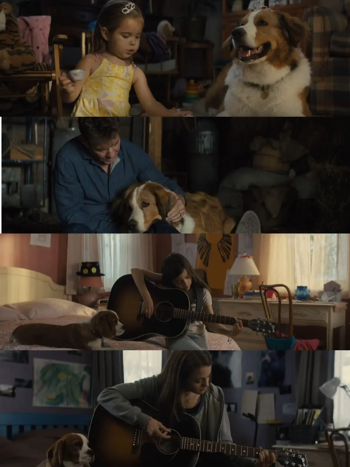 A Dog s Purpose 2017 A Dog s Journey 2019 a-dog-s-purpose-2017-a-dog-s-journey-2019