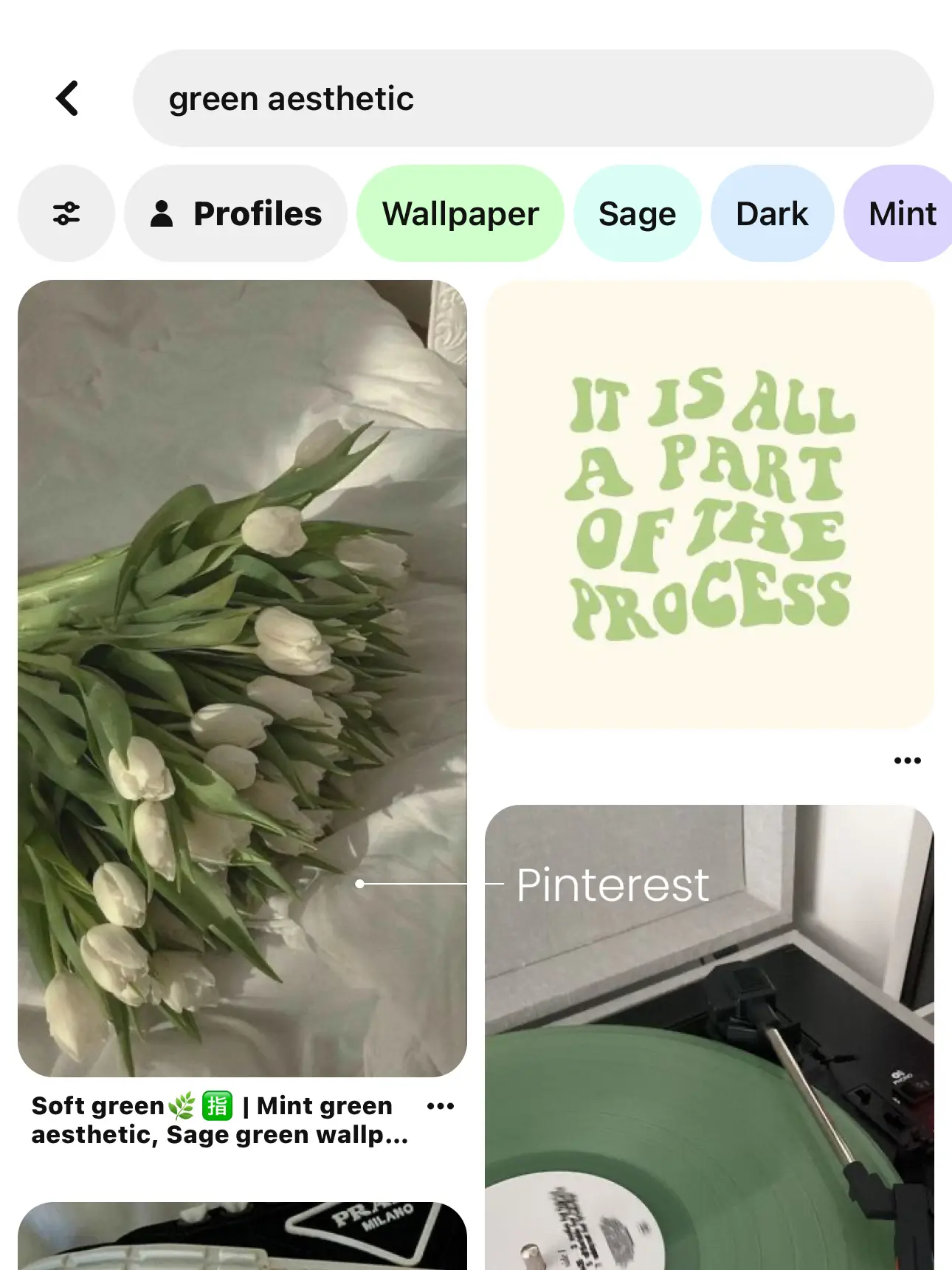 Green Aesthetic Theme | Gallery posted by Jess Ling | Lemon8