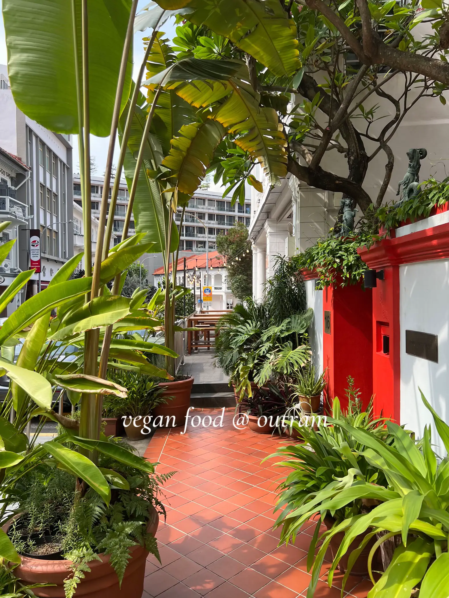 a plant-filled day in outram ft. vegan food 🍵🐢🥬 | Gallery posted by j ...