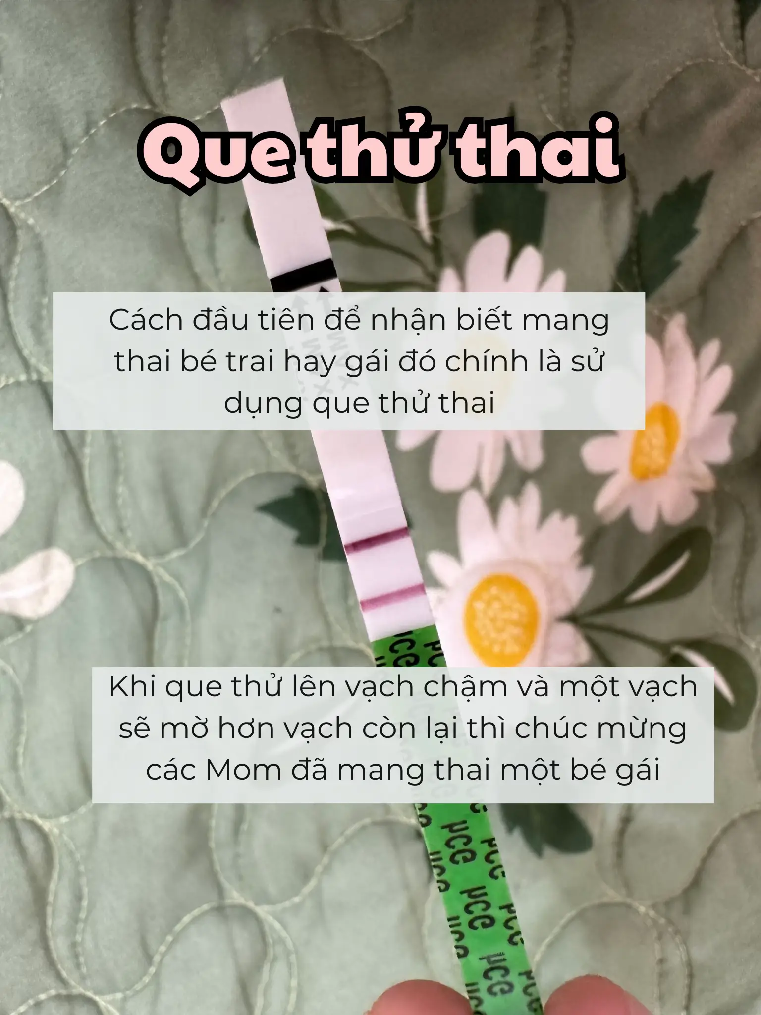 Bầu Bé Gái: Dấu Hiệu, Cách Xác Định Giới Tính và Chăm Sóc Mẹ Bầu