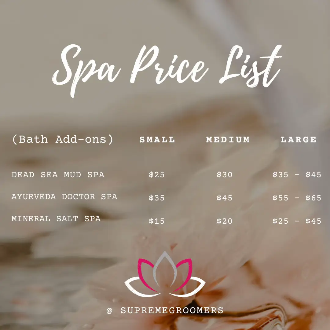 Pet Grooming in Teck Whye and Yishun Gallery posted by