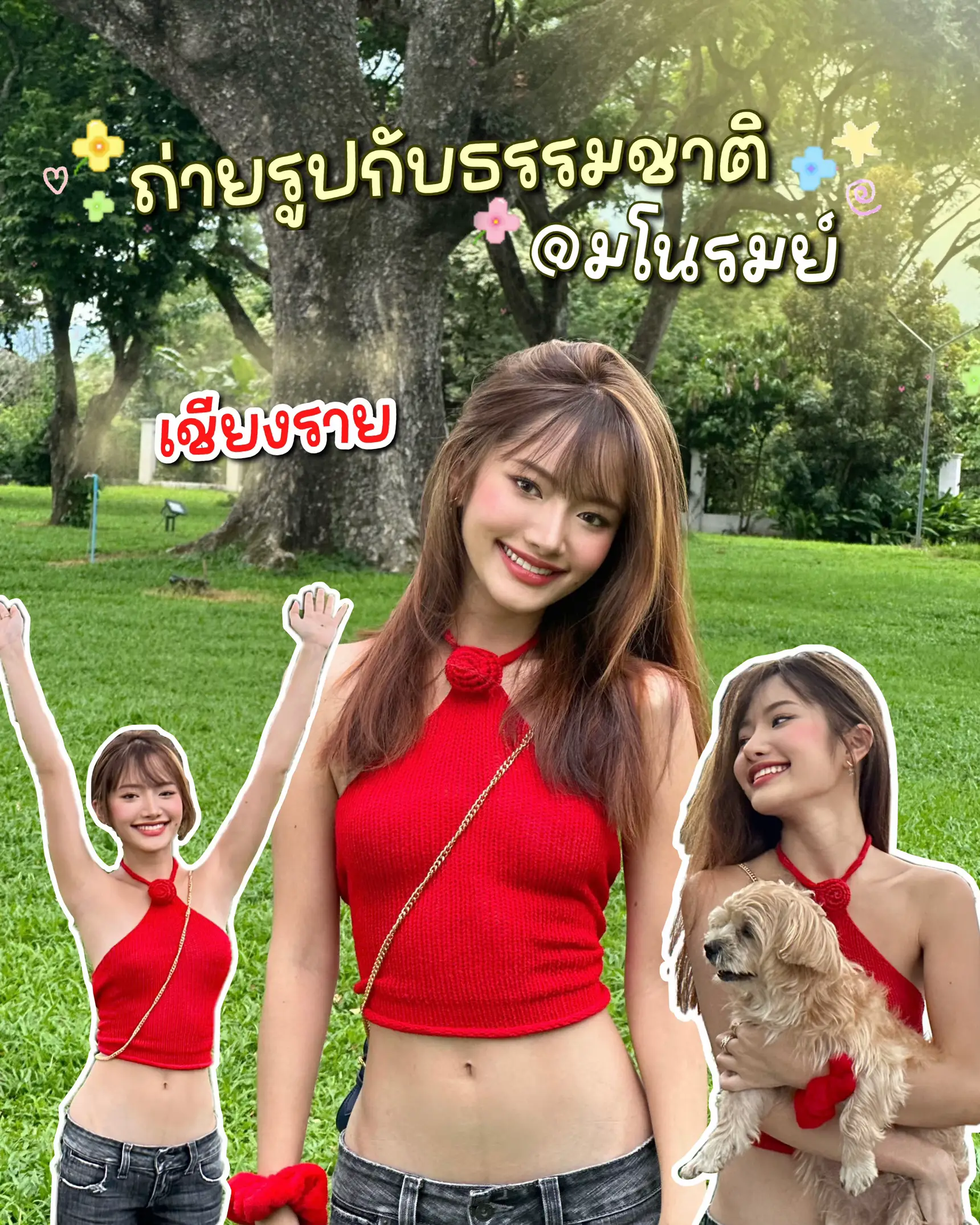 cafe-chiang-rai-mano-the-most-natural-line-gallery-posted-by