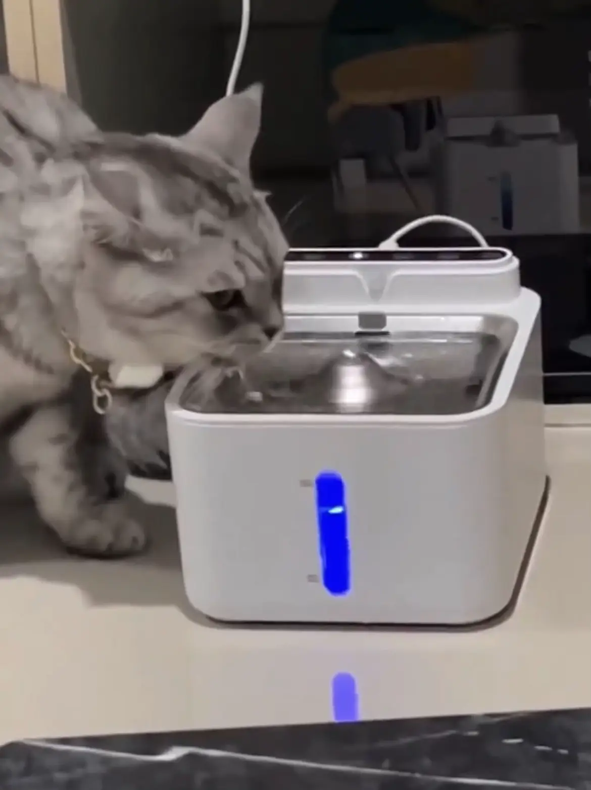 Round Pet Water Fountain Automatic Circulation Cat Water - Temu