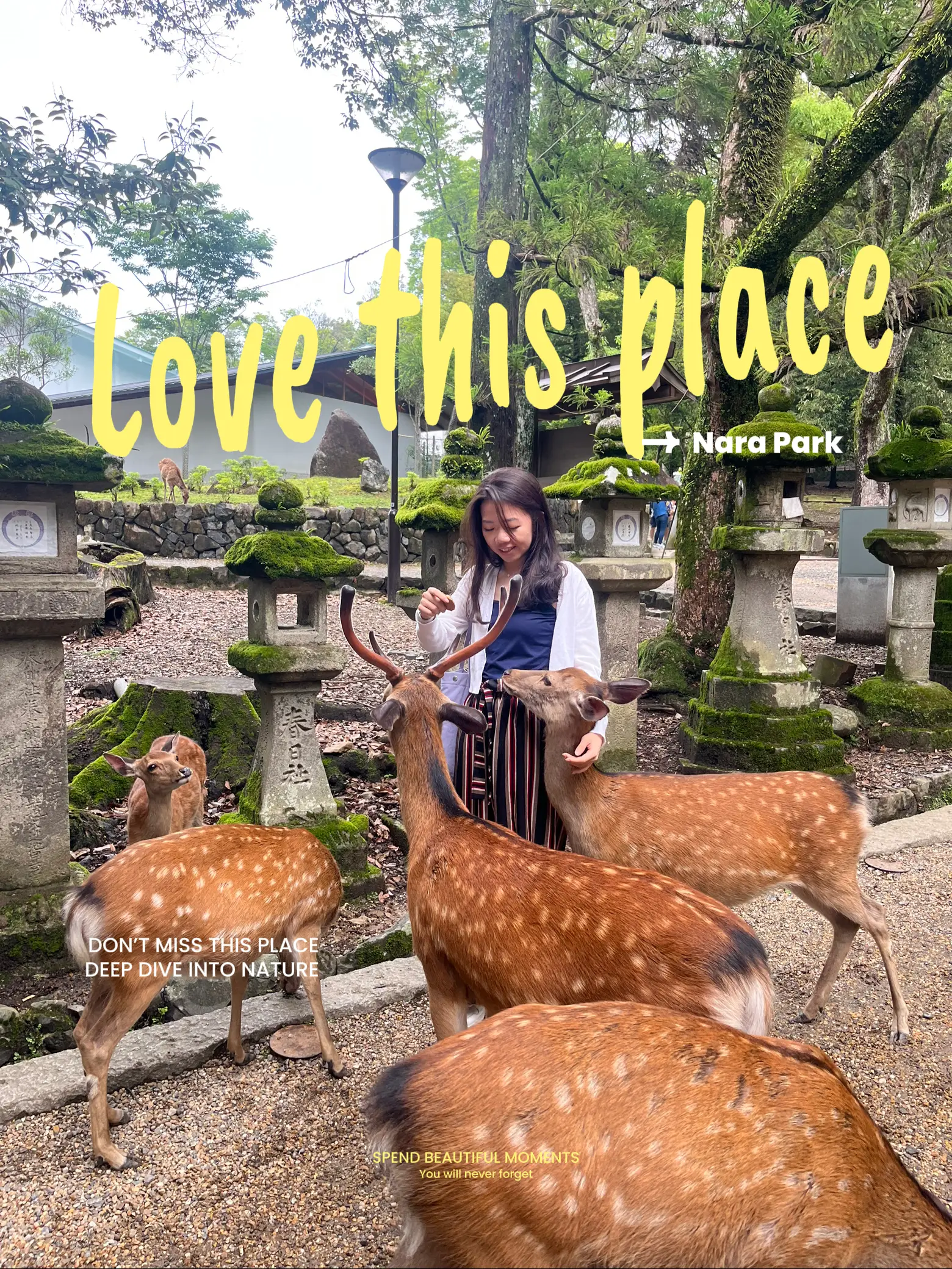 Travel Tips for NARA PARK Getting the best exp Gallery