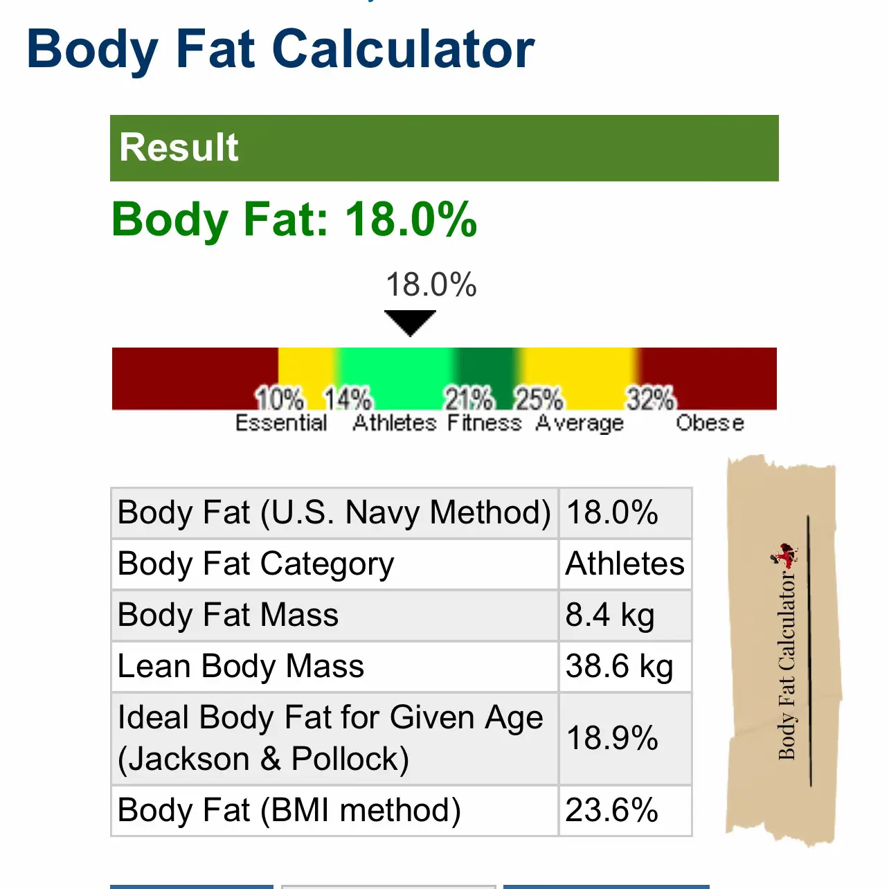 What is a Body Fat Calculator? (with pictures)