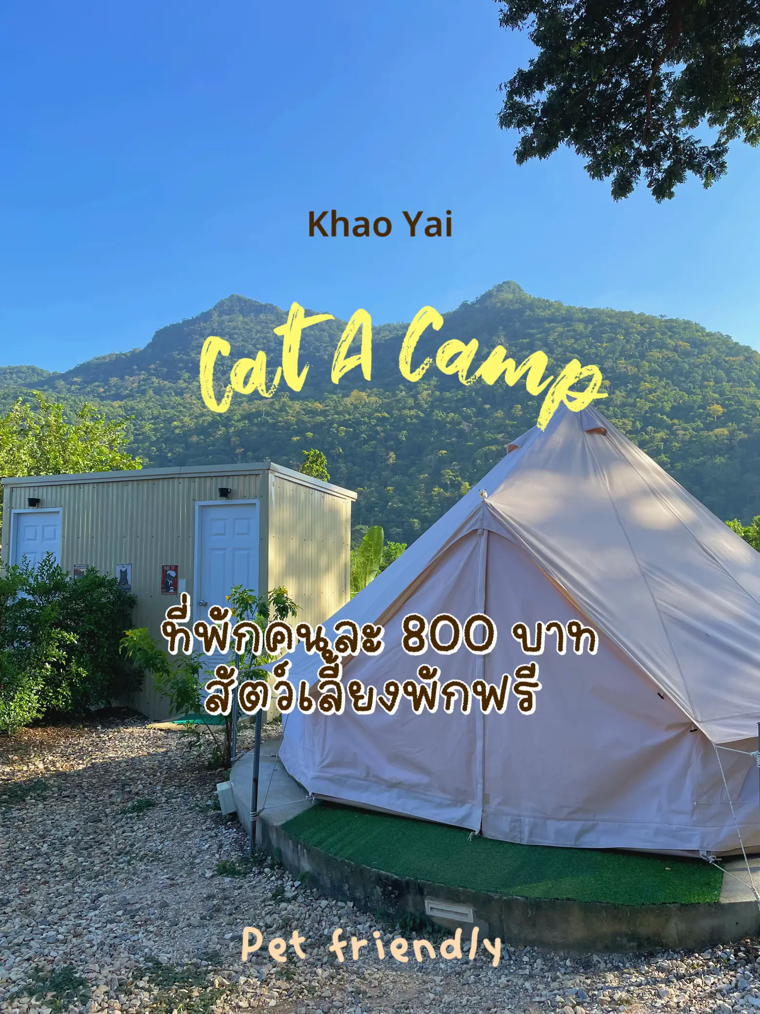 Cat A Camp ที่พักราคา 800 บาท สัตว์เลี้ยงพักฟรี แกลเลอรีที่โพสต์โดย