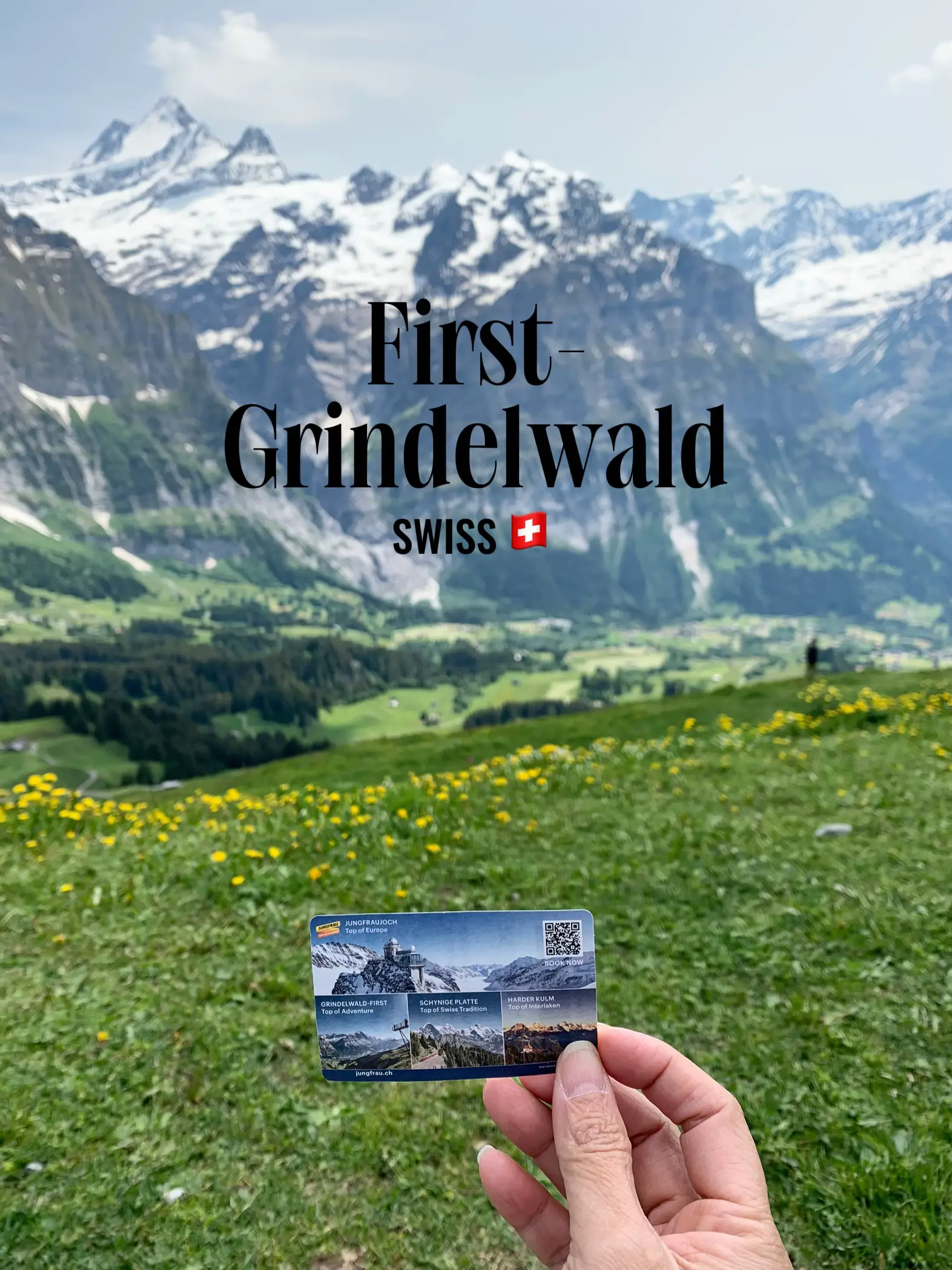 GrindelwaldFirst แกลเลอรีที่โพสต์โดย Betaarr Lemon8