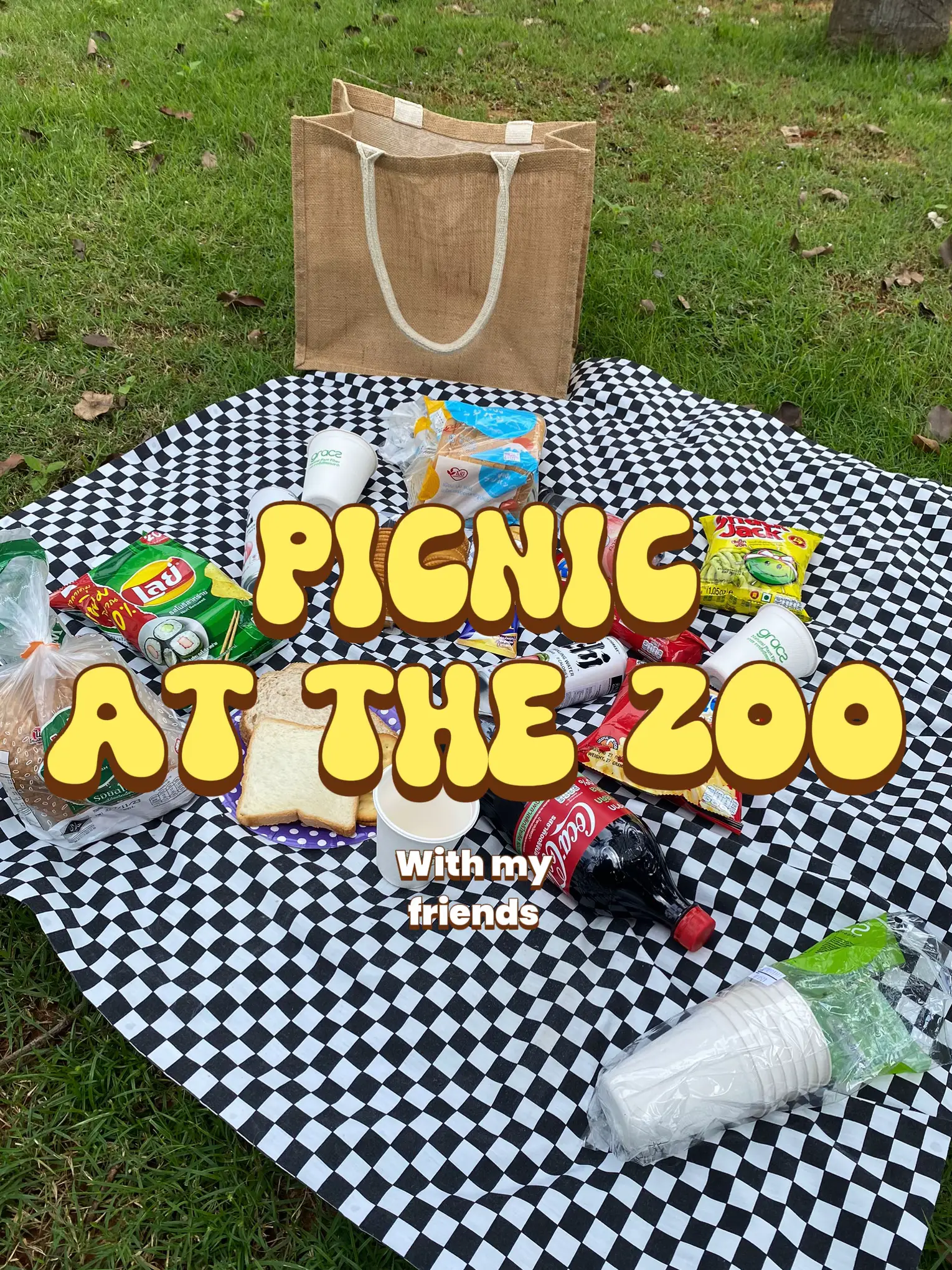 💖🥂Picnic at the Zoo 🦢🥪🥤🧺 แกลเลอรีที่โพสต์โดย nameismod Lemon8