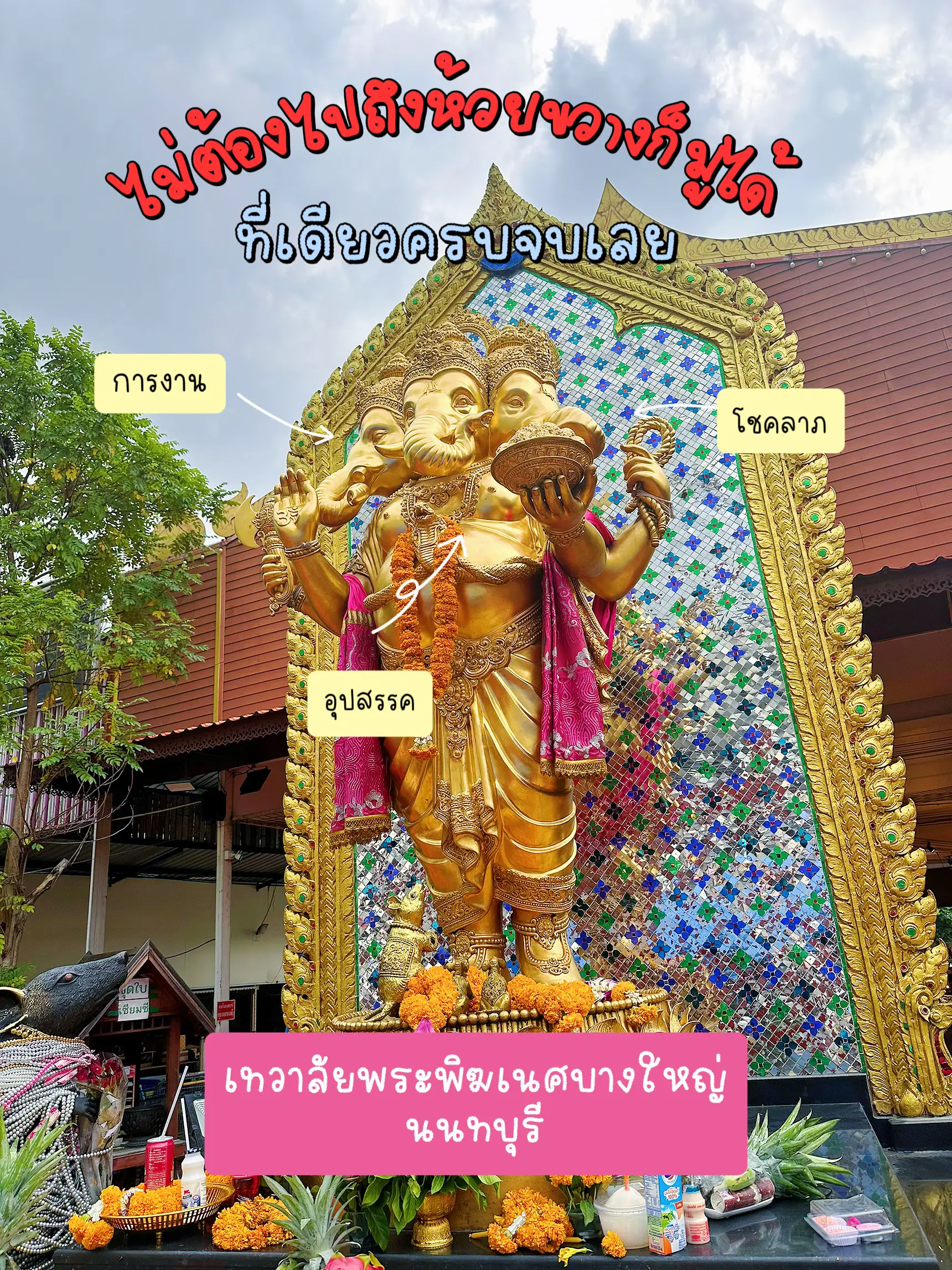 มูให้รวย | แกลเลอรีที่โพสต์โดย Da darunee🌻 | Lemon8