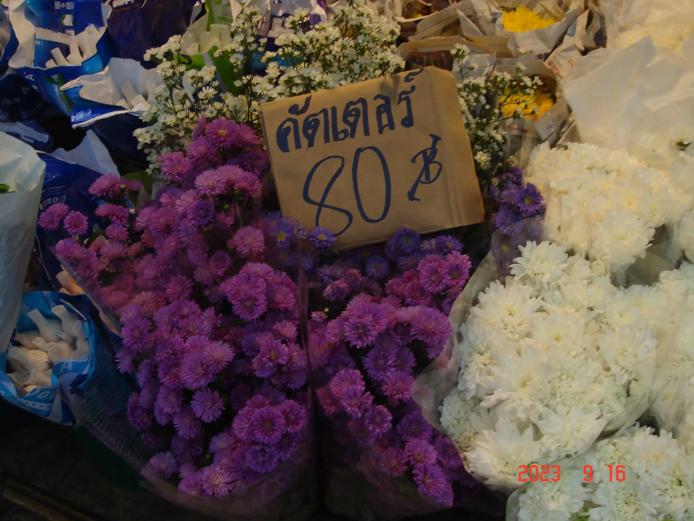 Supermarket Flower🌻 Gallery posted by PK Lemon8