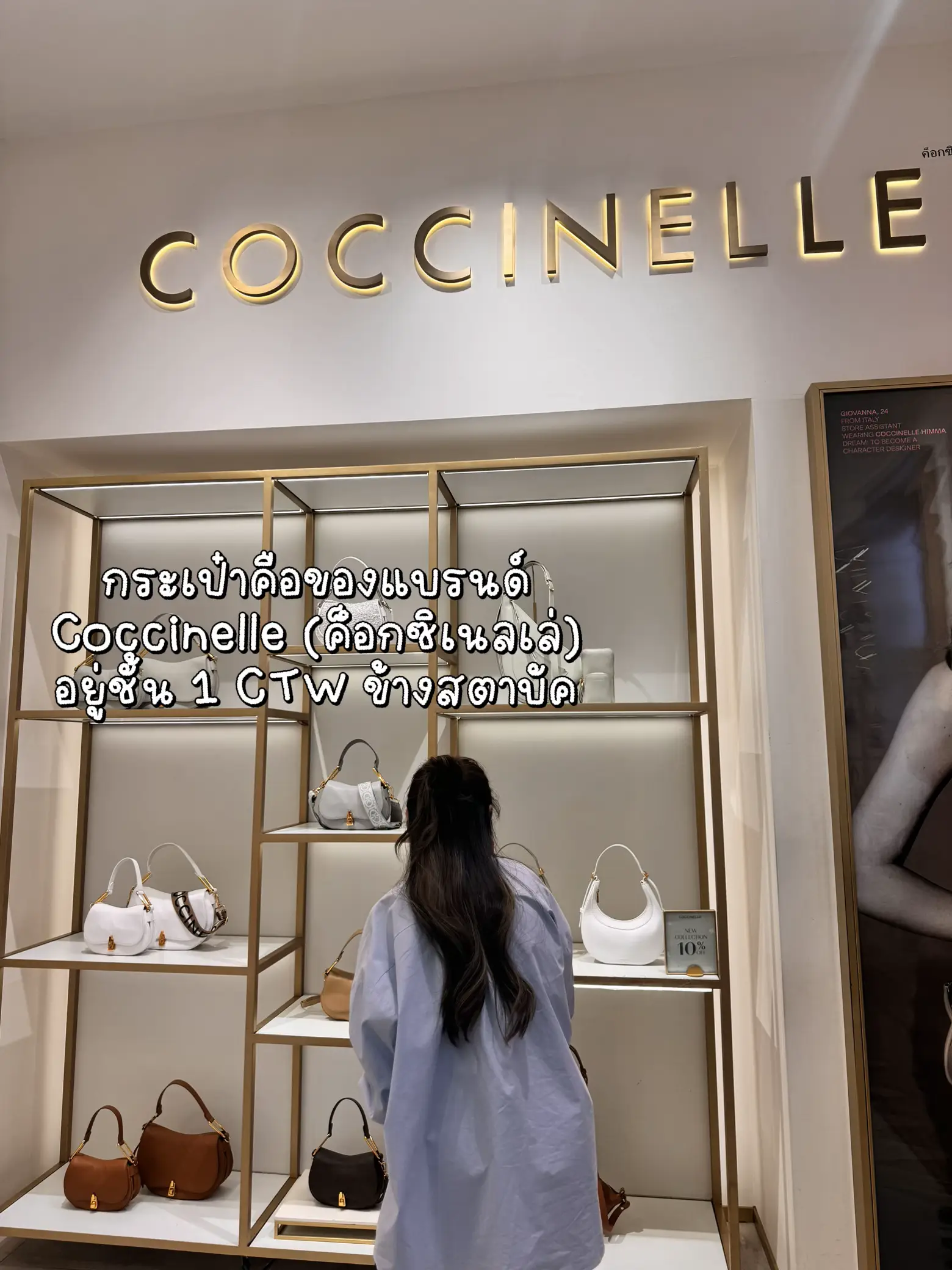 20 Coccinelle Bag 2024