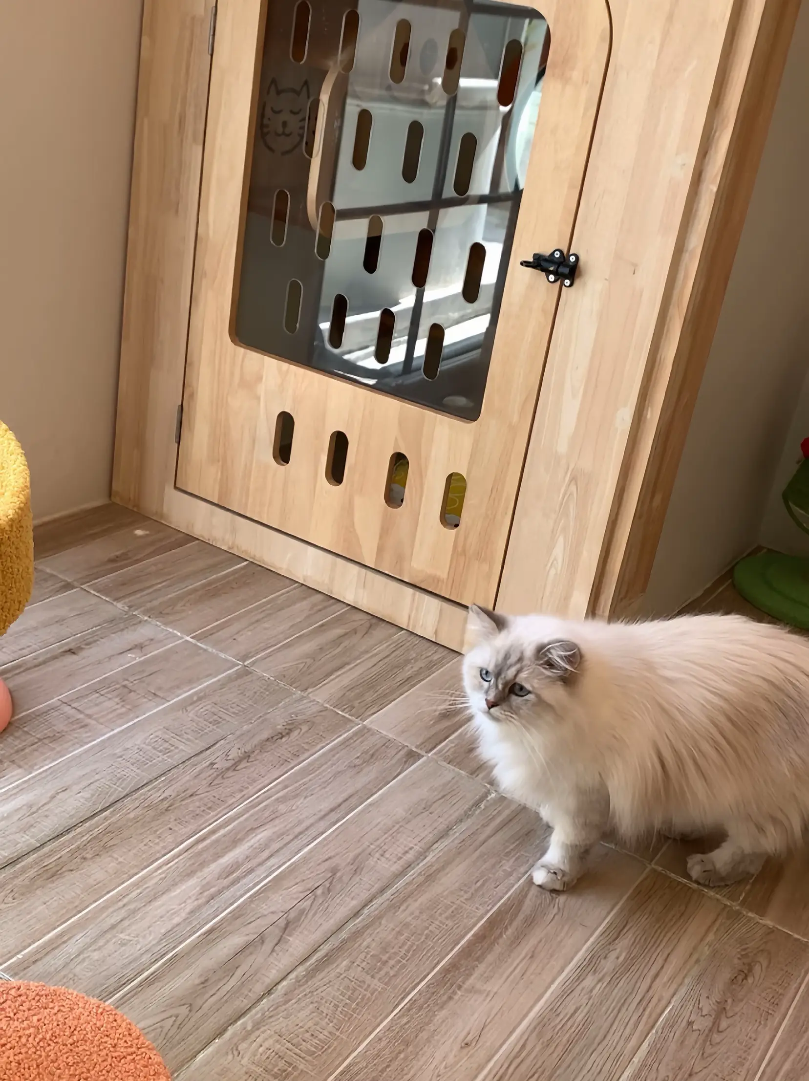 เอาแมวไปฝากโรงแรมแมว แมวไม่ฉี่ไม่อึ - การค้นหาใน Lemon8