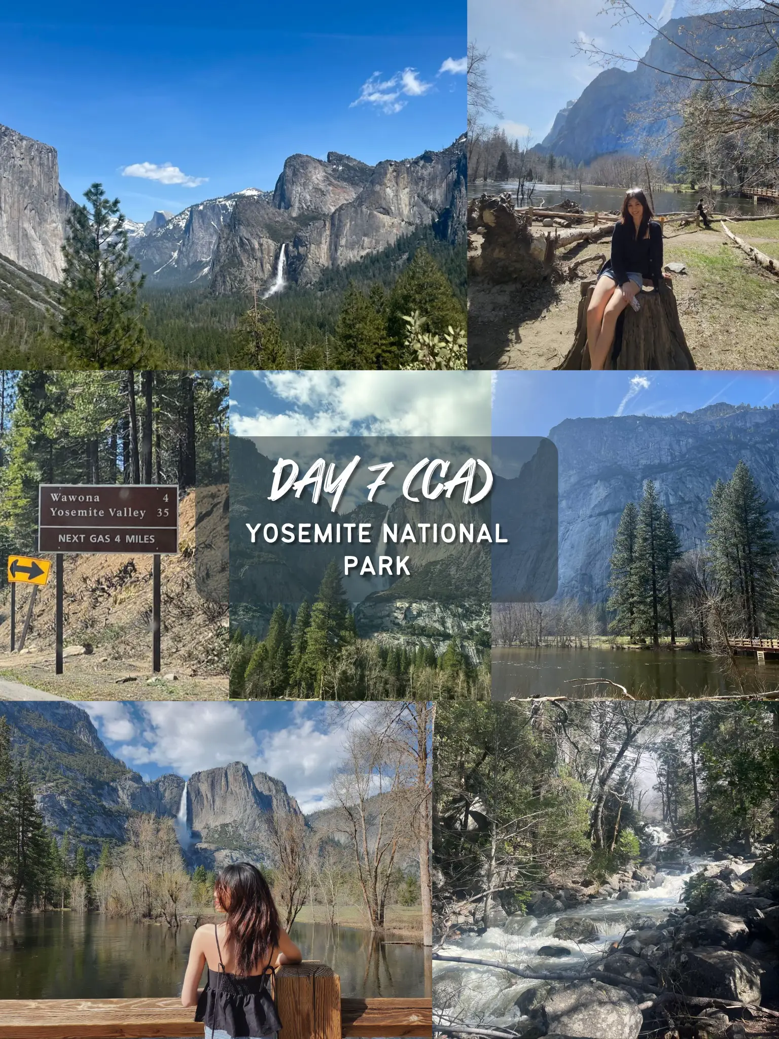 11 Cities, 3 States In 18 Days | 🇺🇸 FULL Itinerary 's images(2)