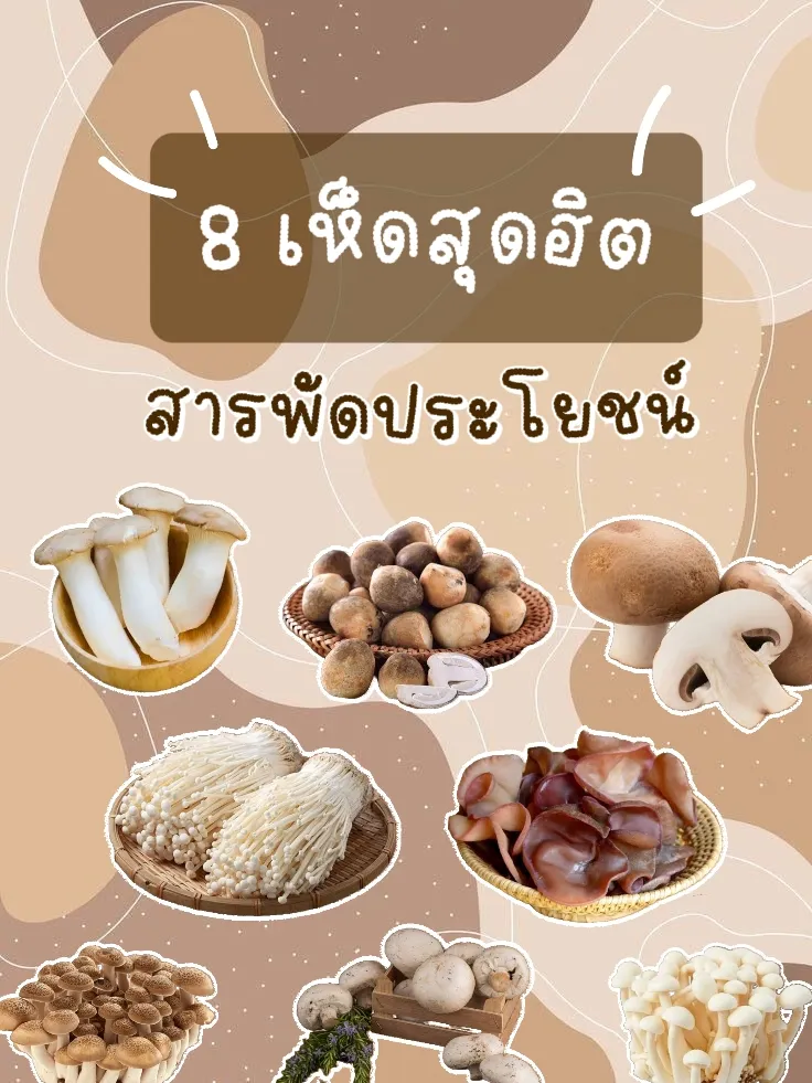 เห็ดมีประโยชน์อย่างไร | 2024 ประสบการณ์ผู้ใช้จริงบน Lemon8