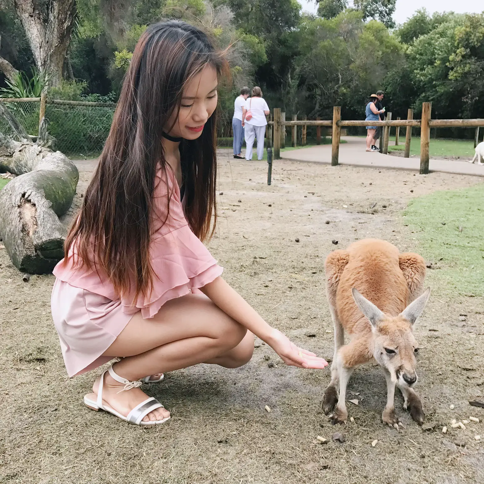 Getting Upclose with Wildlife Animals😱 | Gallery posted by mavyyk | Lemon8