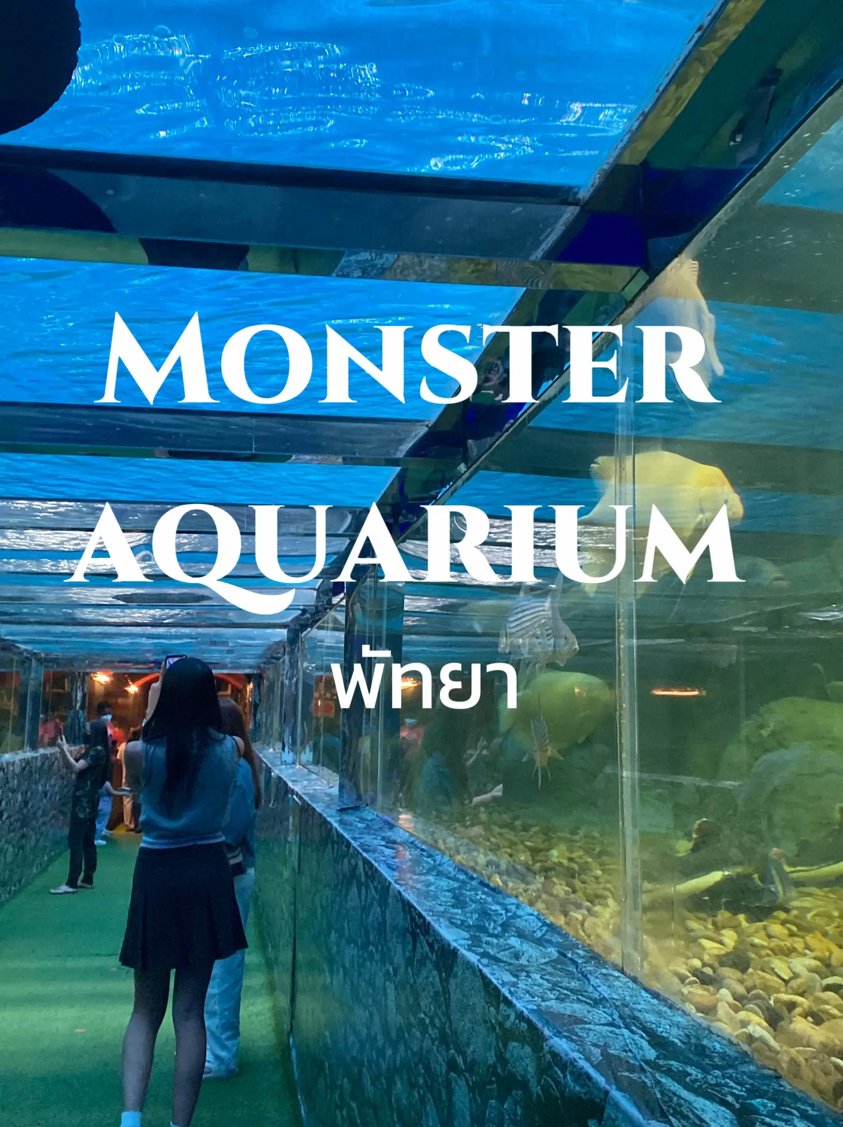 Monster aquarium best sale