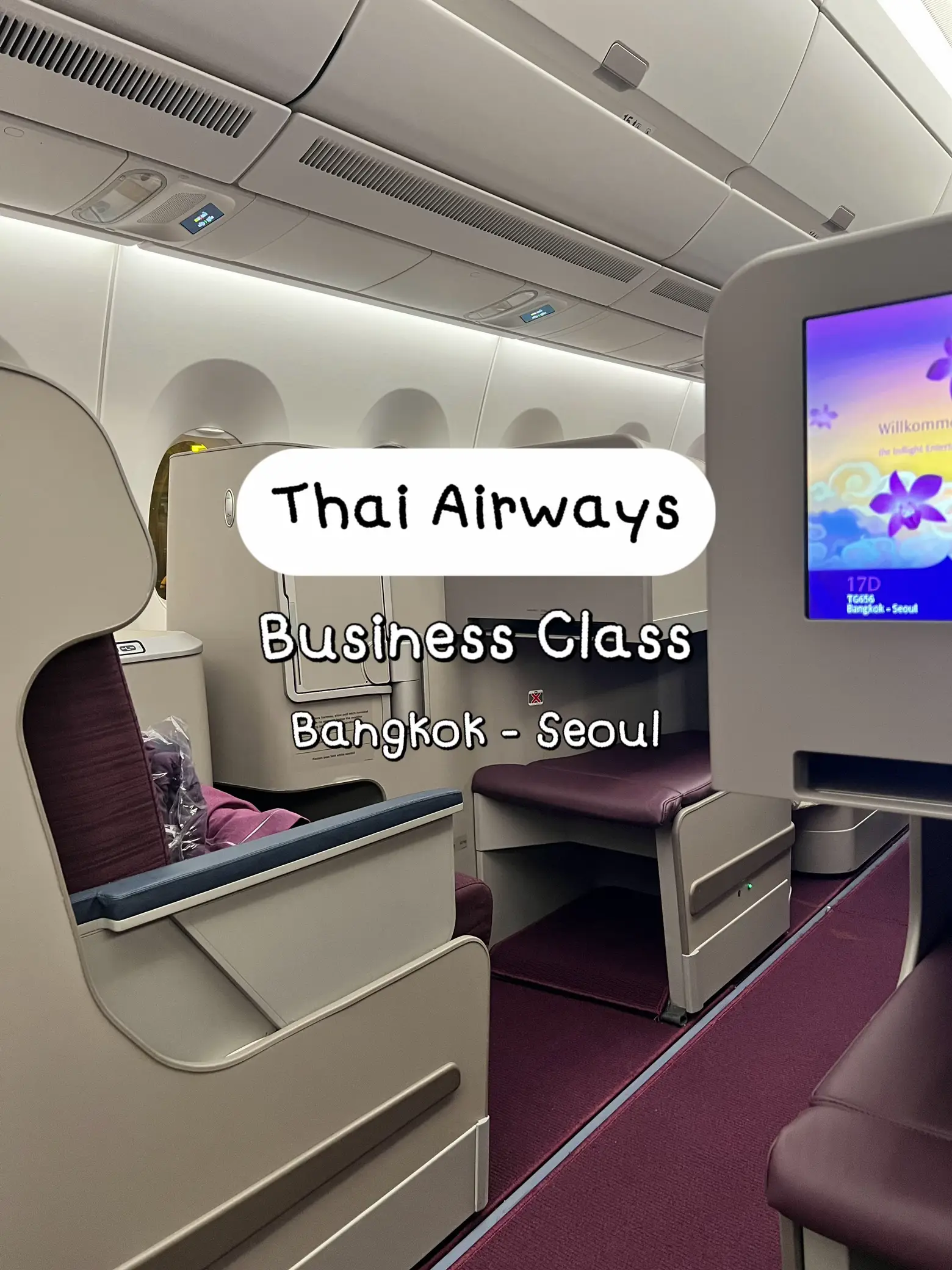 Thai airways cheap carry on