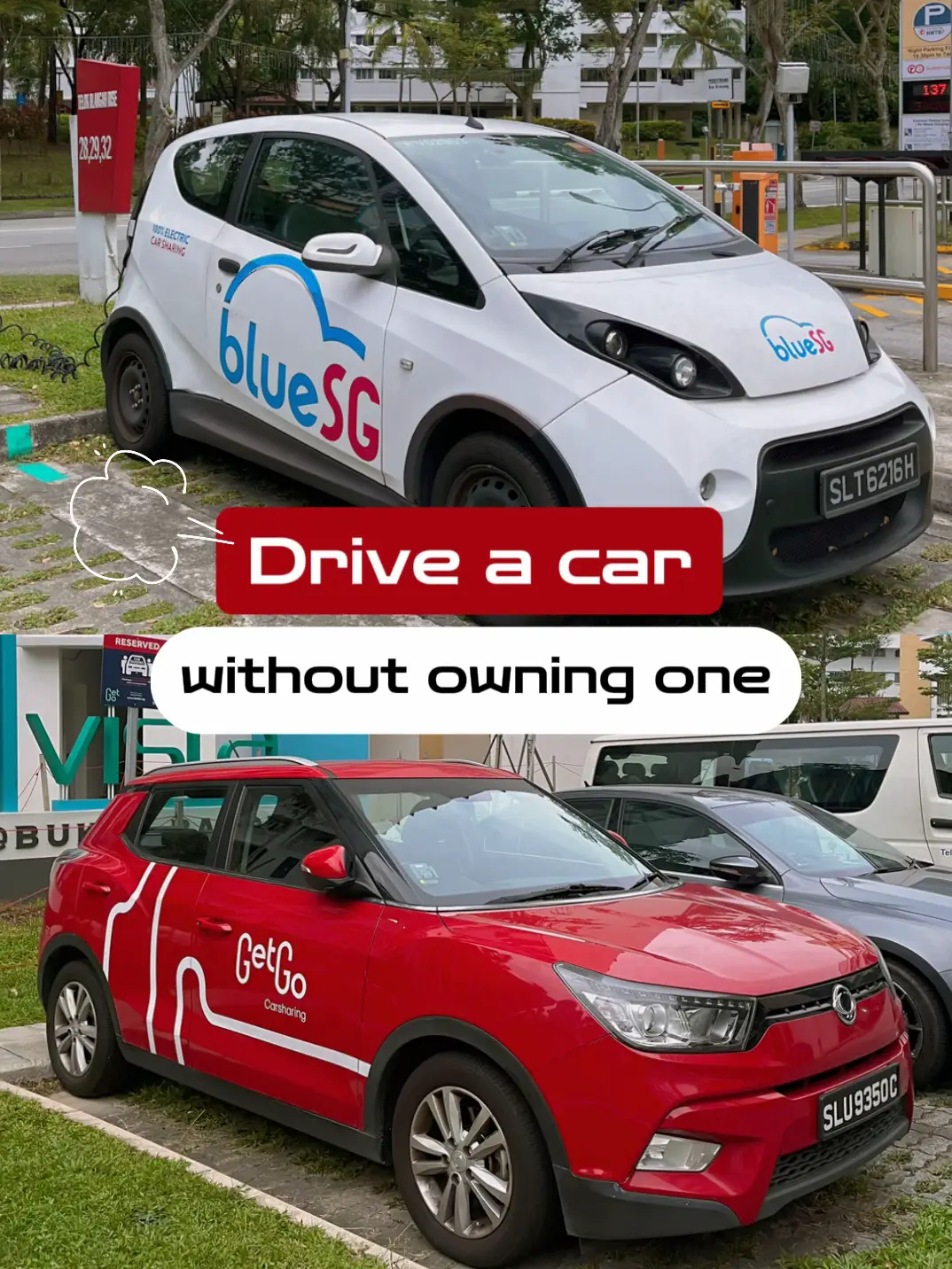 Bluesg on sale car brand