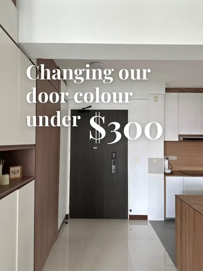Changing our main door colour under $300 🚪🥳's images