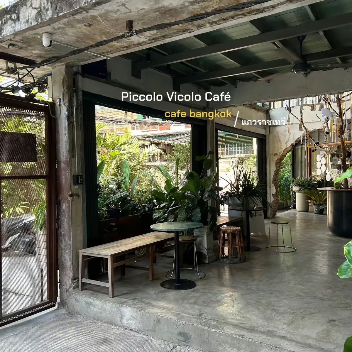 Piccolo vicolo cafe แกลเลอรีที่โพสต์โดย Tui Lemon8