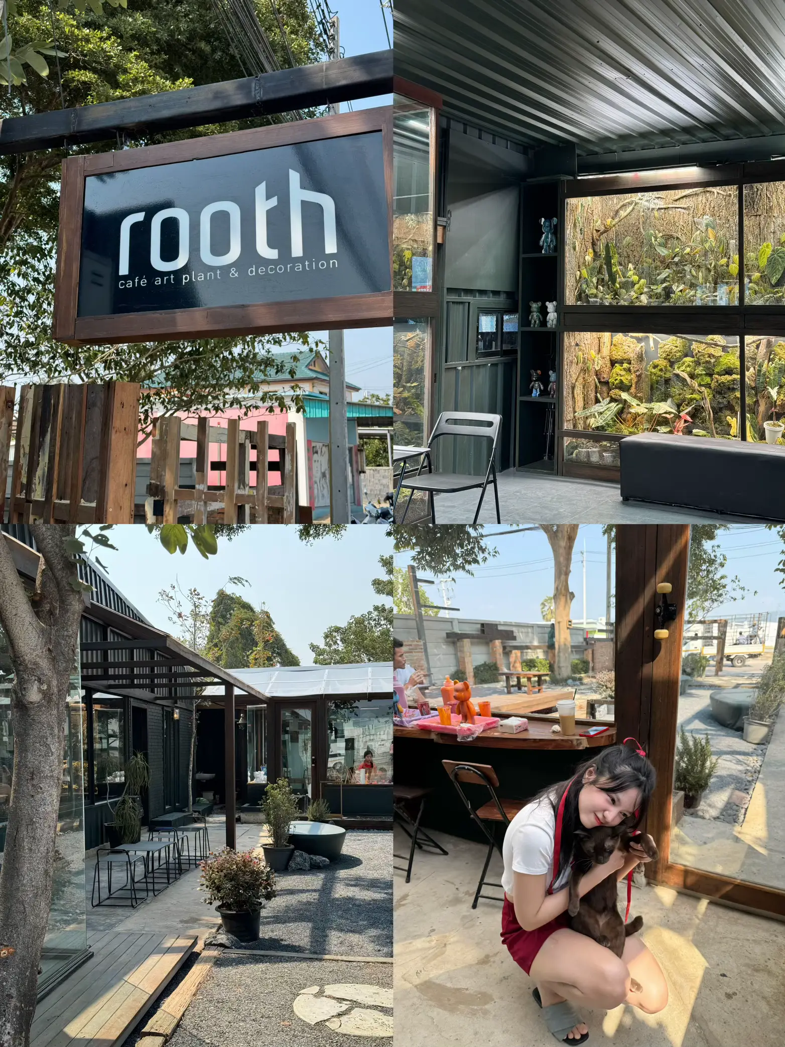 คาเฟ่เปิดใหม่บางแสน rooth cafe art plant & decoration | แกลเลอรีที่ ...