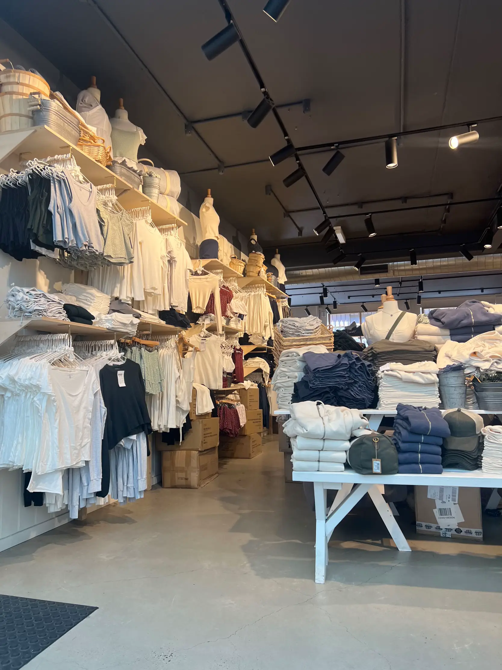 Shining 👀 Brandy Melville Eyebrow Clothing Australia Branch🇦🇺 Gallery