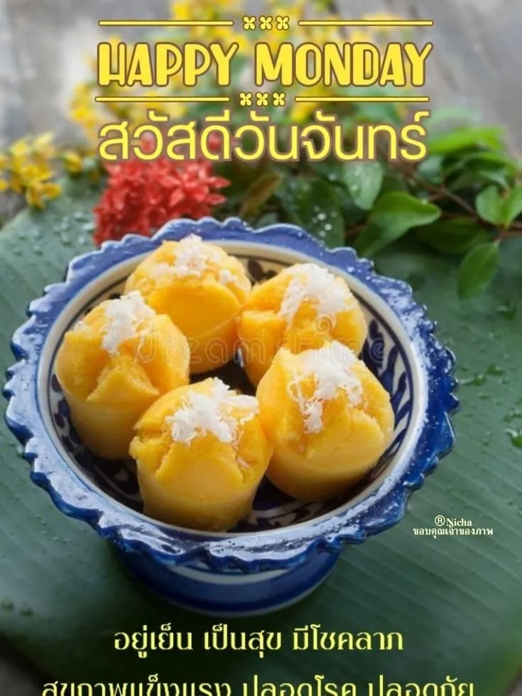 สวัสดีตอยเย็นวันจันทร์ - การค้นหาใน Lemon8