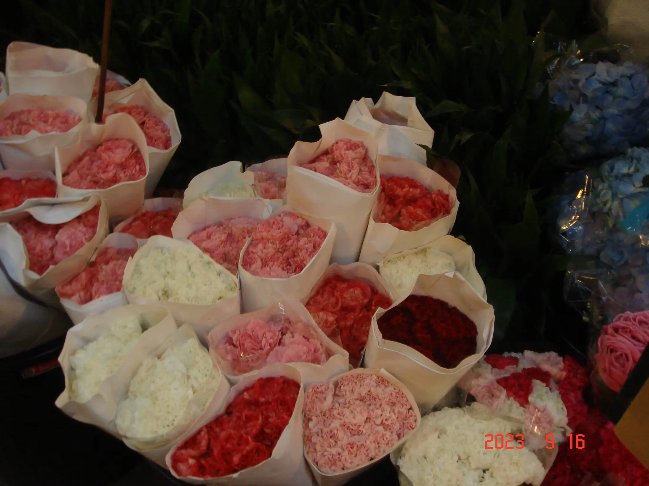 Supermarket Flower🌻 Gallery posted by PK Lemon8