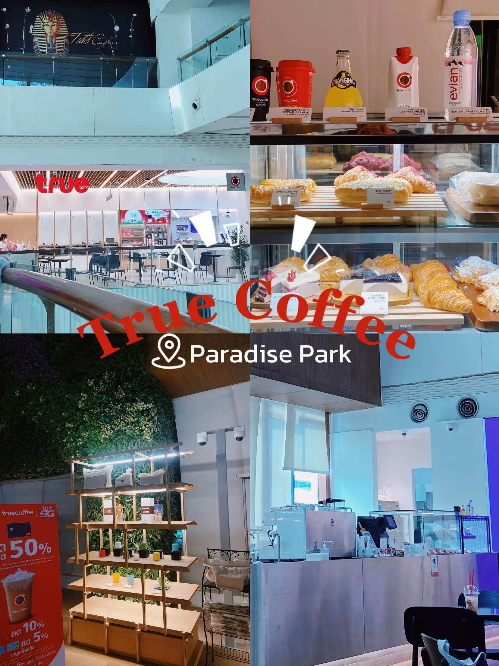 Paradise Park restaurant review