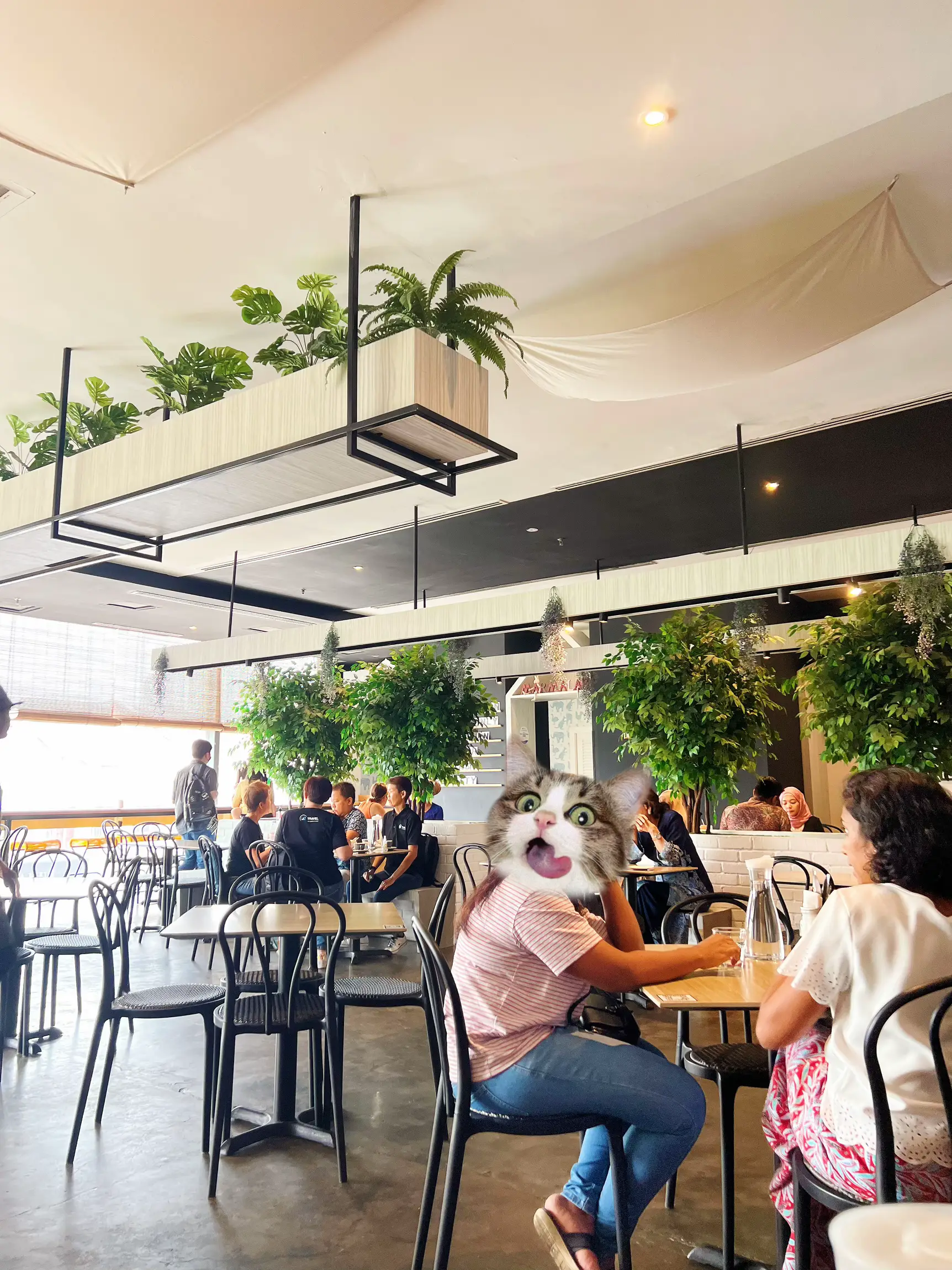 🌱 Naturethemed Cafe Marmalade Bangsar Vill 2 Galeri disiarkan