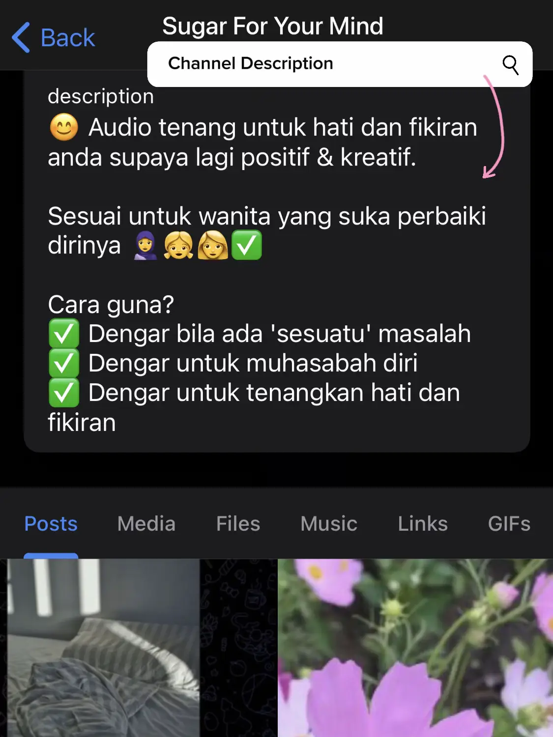 Telegram Channel for SelfImprovement Gallery posted by