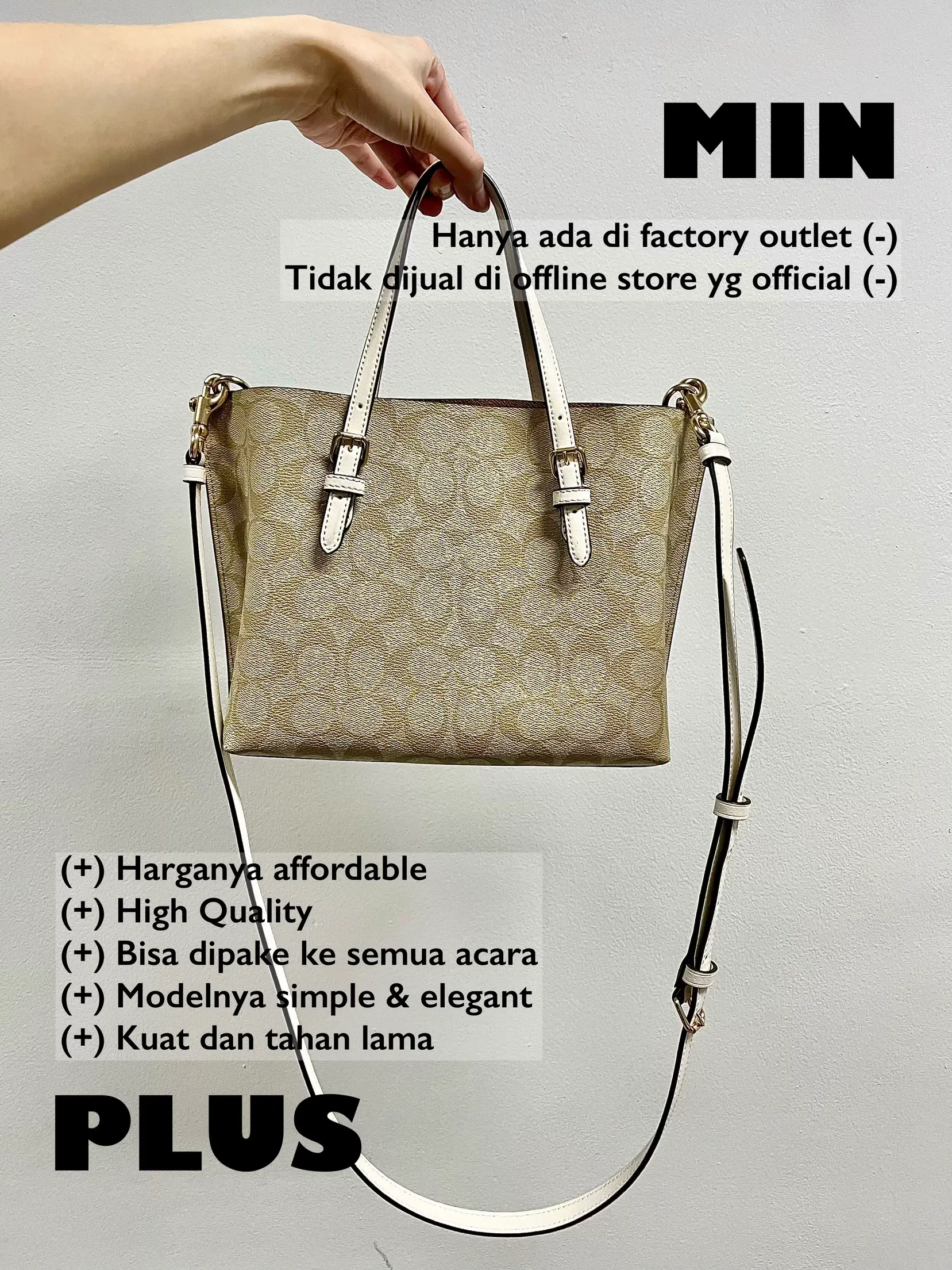 Coach Reversible Tote - A 1.5 Year Update on this Neverfull Dupe! 