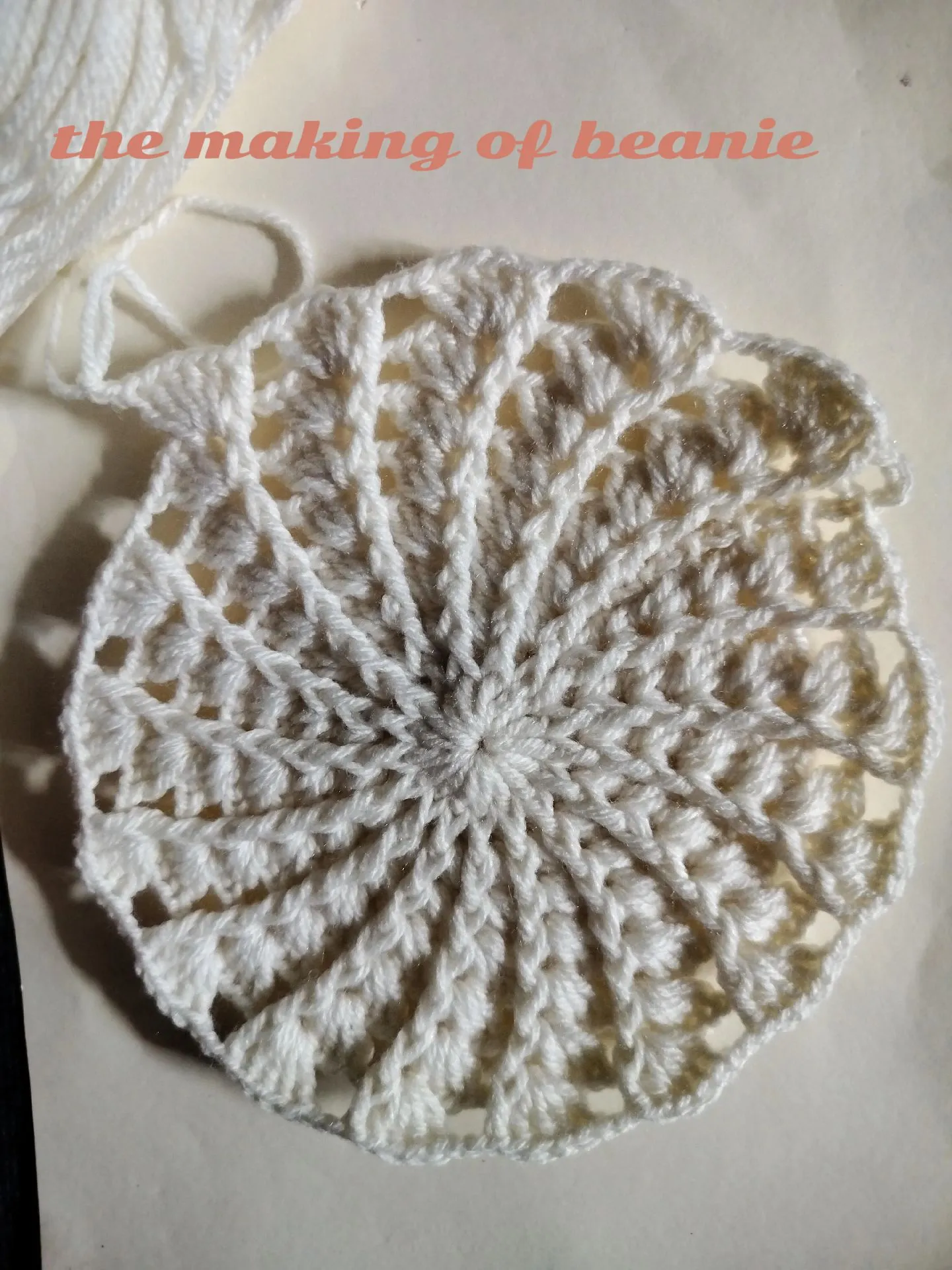 Step-By-Step Knitting Tutorial, Ribbed Beanie Knit Flat