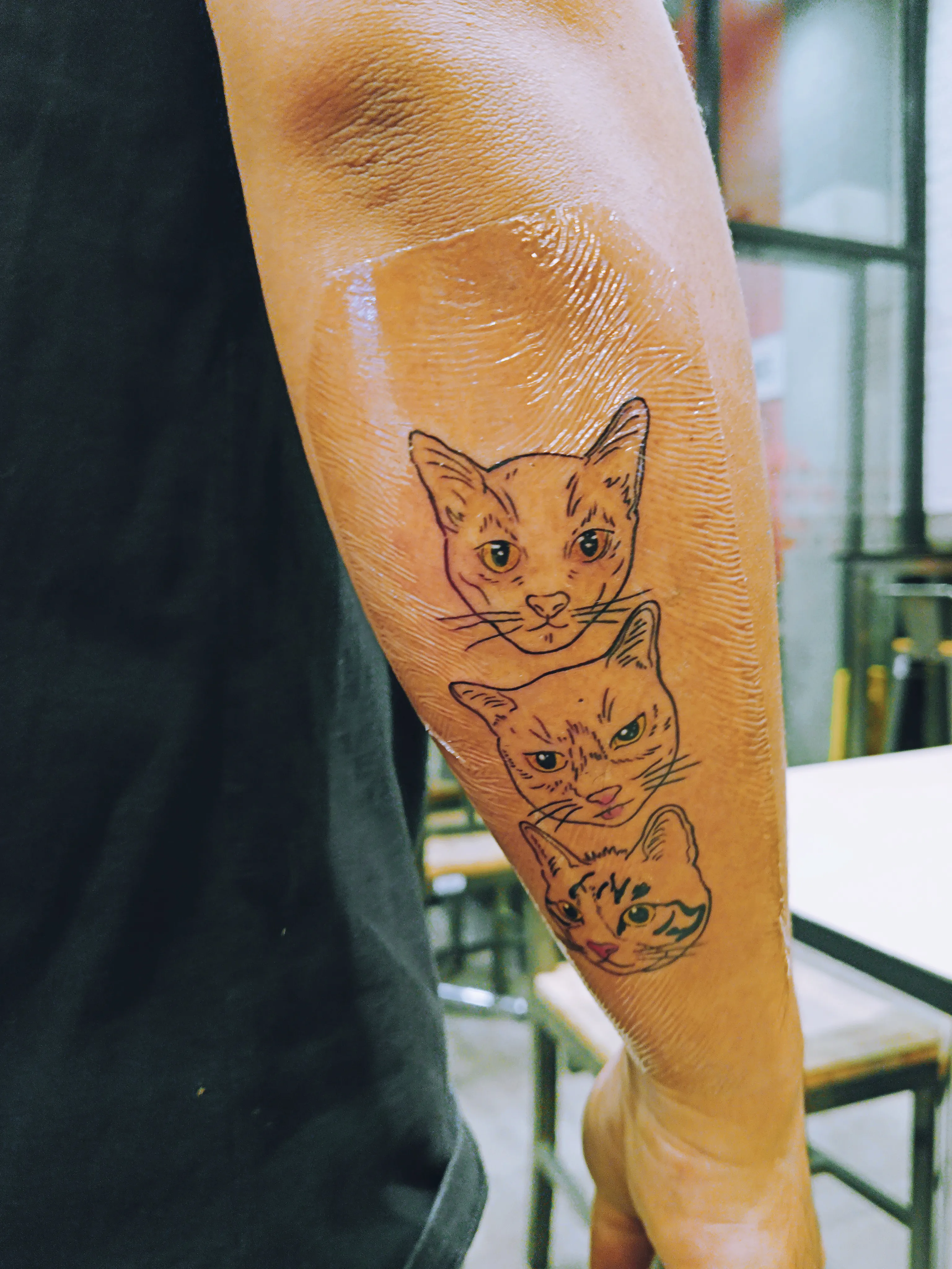 Design three cat tattoos | Gallery posted by 𝑀𝑒𝓇𝓁𝒾𝓃 | Lemon8