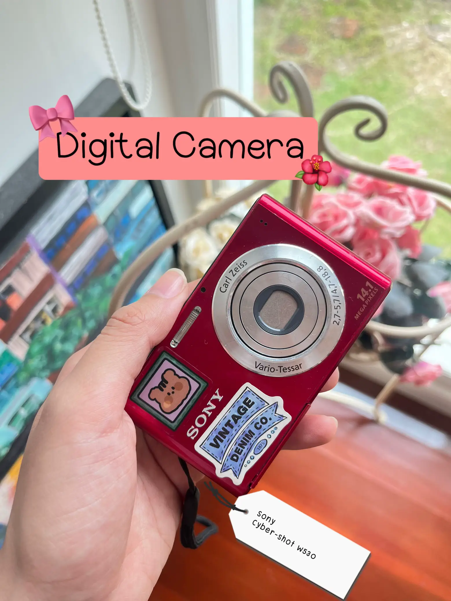 Digital Camera Sony Cyber-shot w530🎀✨, Gallery posted by Manthana K. ⑤⑤