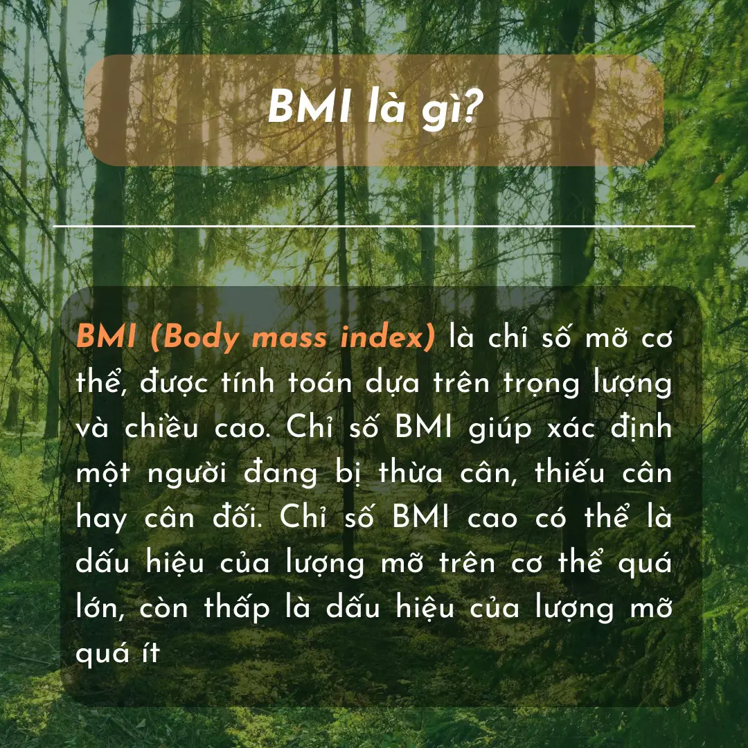 Phân loại Chỉ số BMI