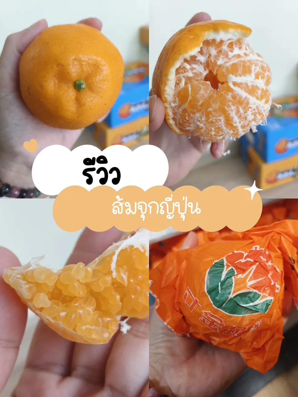 ส้มพันธุ์นี้..อย่าหาซื้อมากินค่ะ | แกลเลอรีที่โพสต์โดย ป้าว่าดี | Lemon8