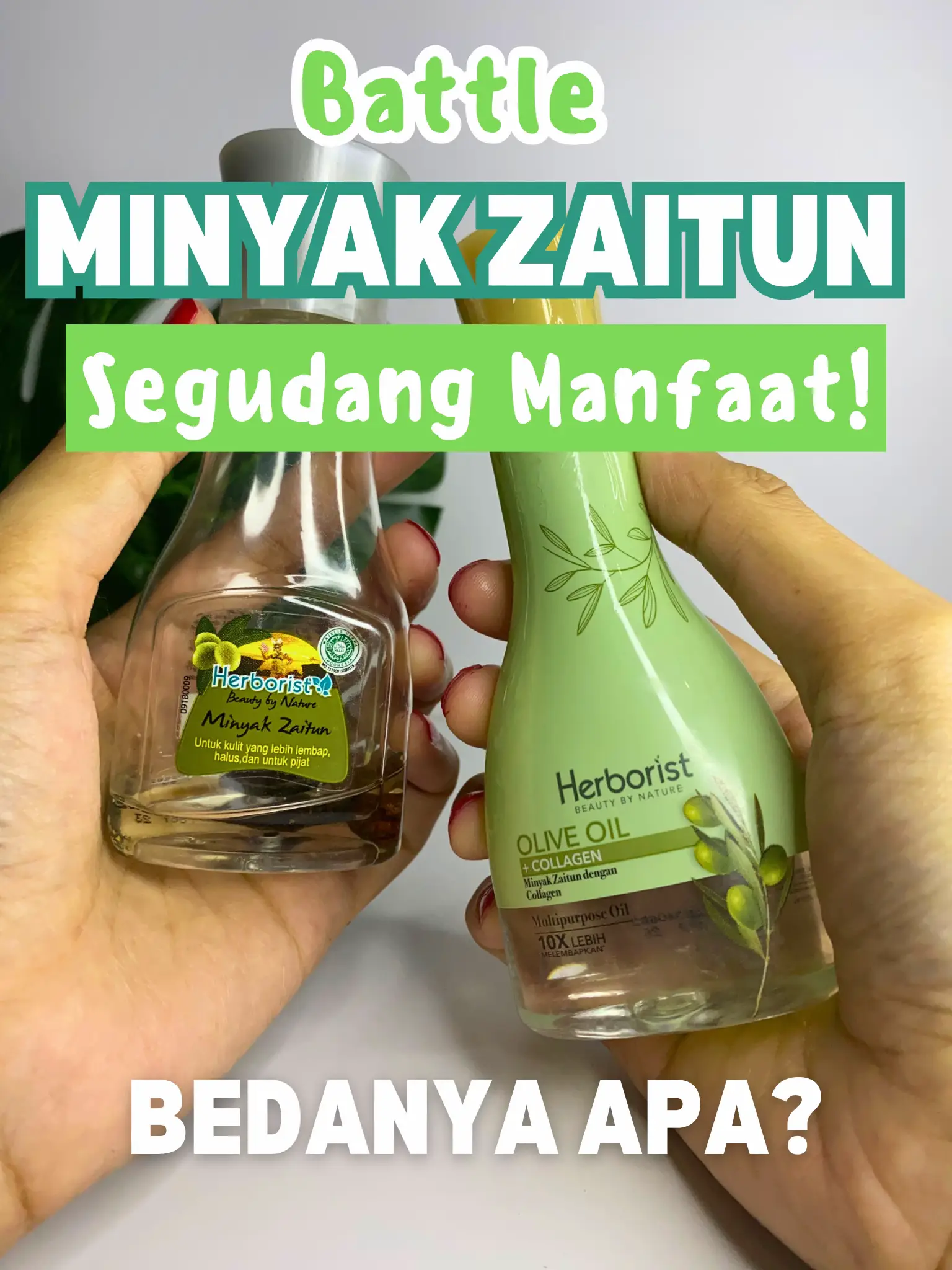 Khasiat minyak zaitun 2025 herborist untuk payudara