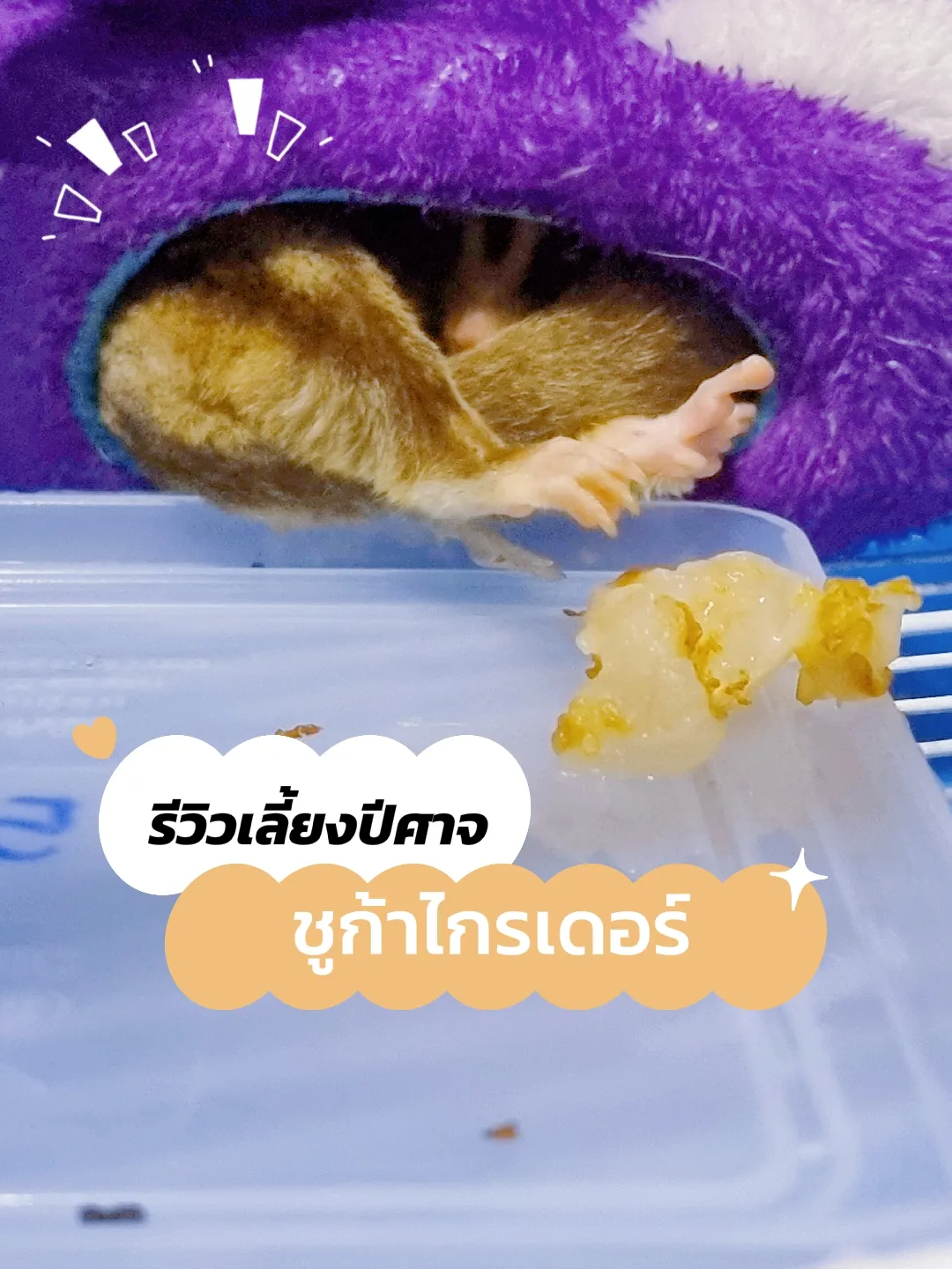 Mitan Rta ฝากเลี้ยงชูก้า - การค้นหาใน Lemon8