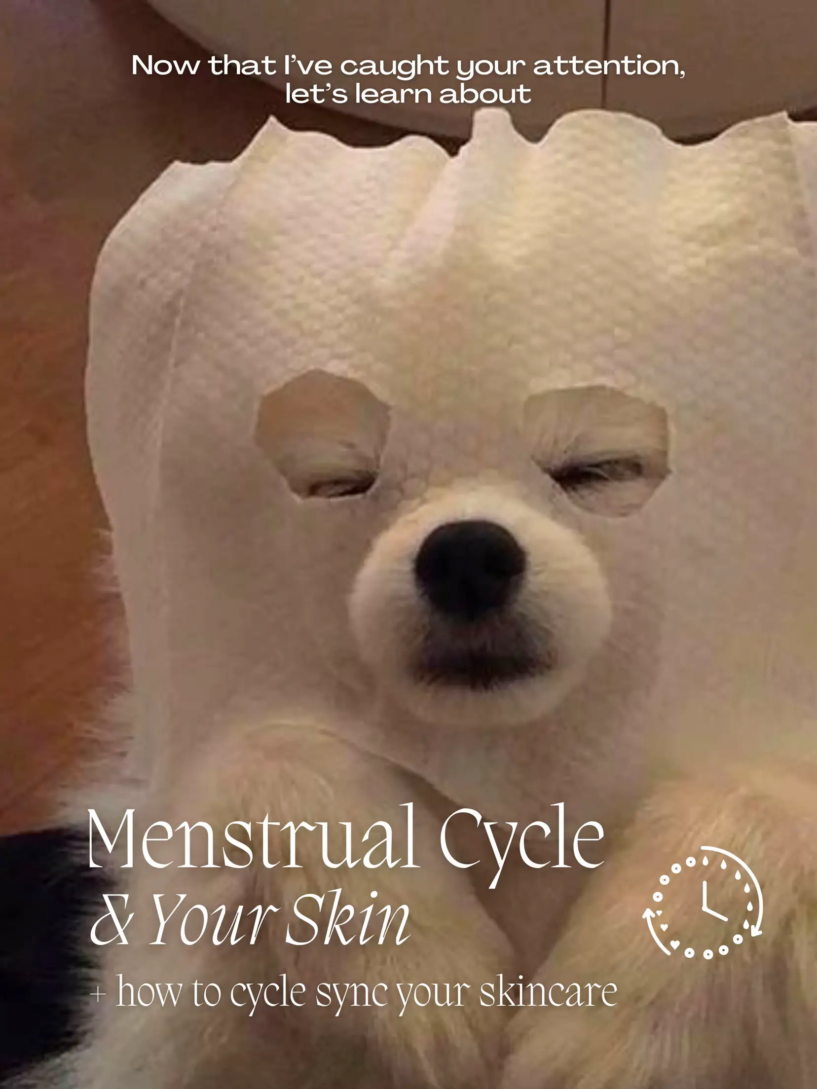 How your skin is related to your menstrual cycle 's images