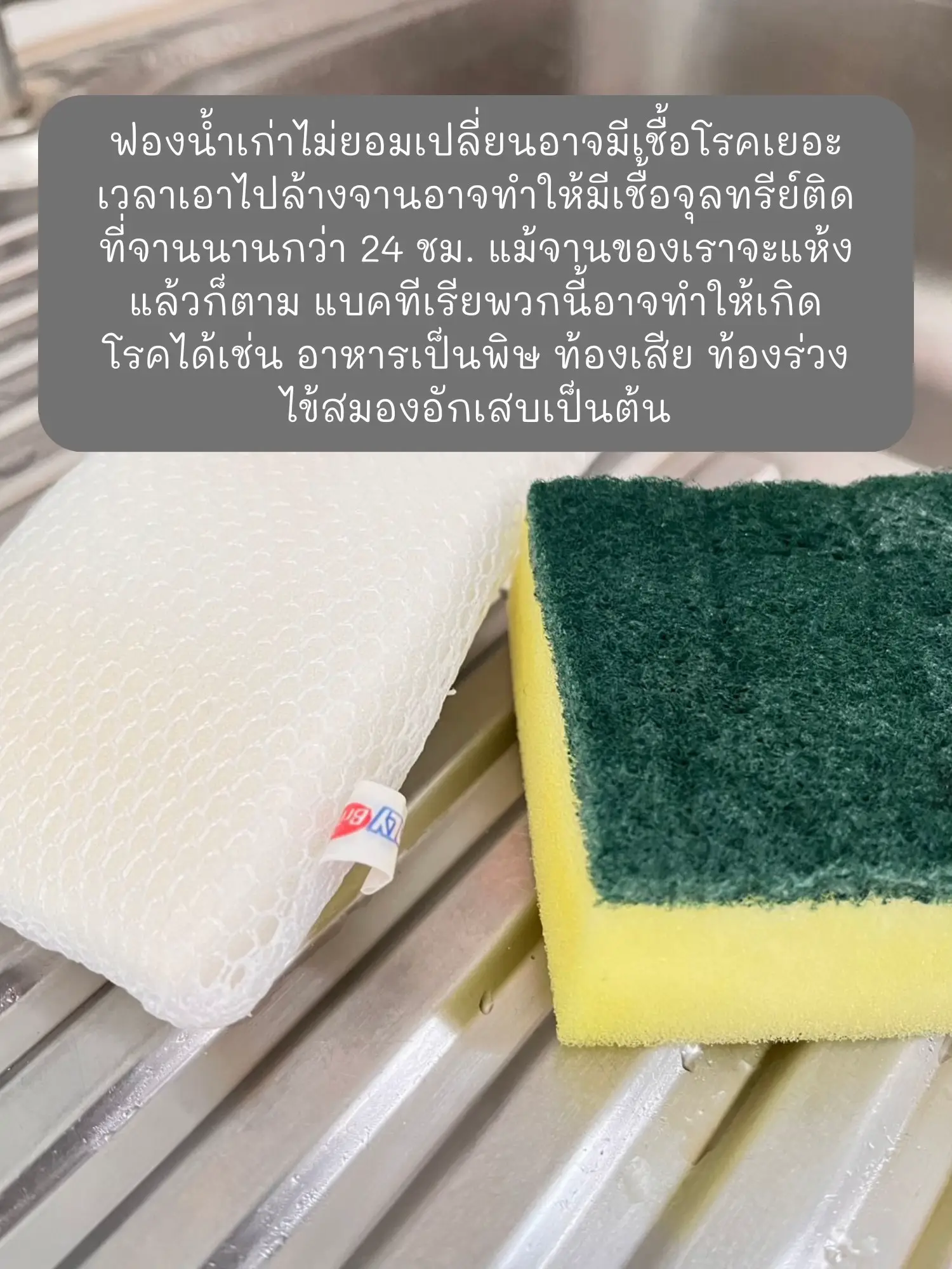 Kitchen Cleaning Sponges Are A Reservoir Of Bacteria And Dirtier Than  Toilets, Says Study