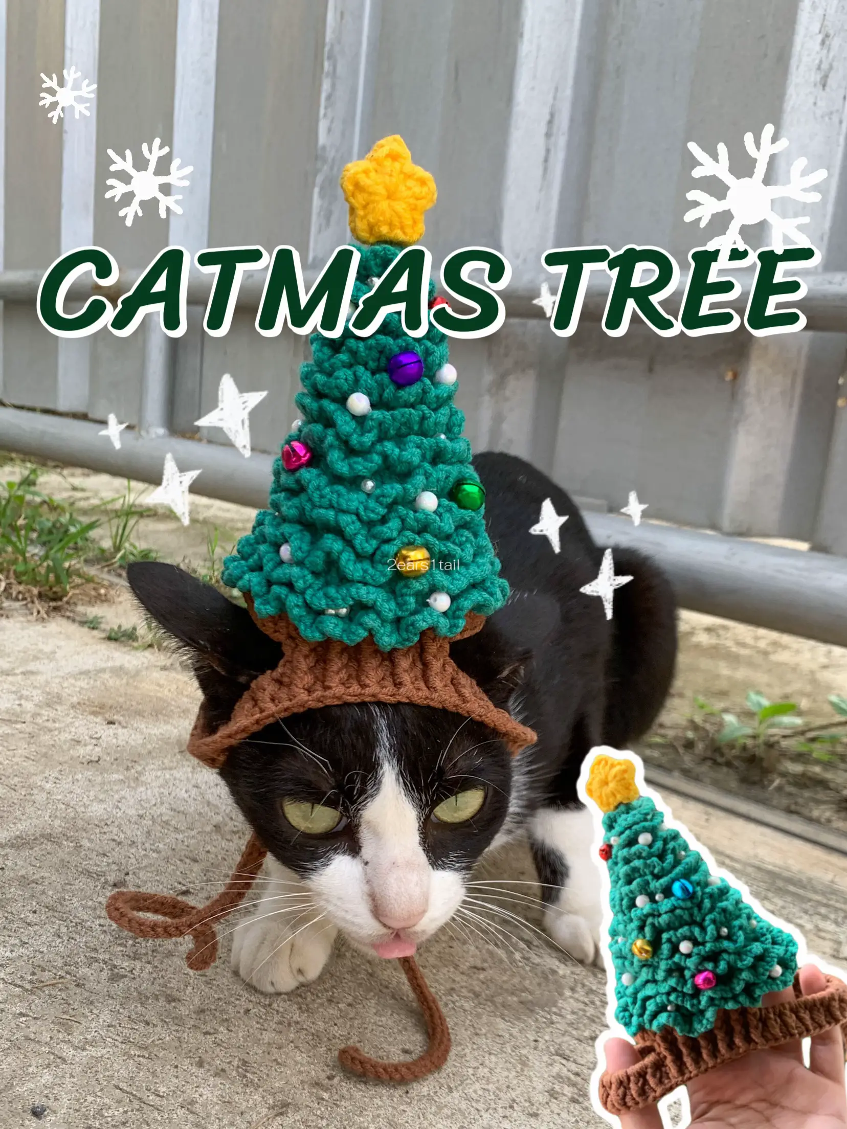クリスマスツリーの帽子:帽子をかぶった猫 | 2ears1tailが投稿した 