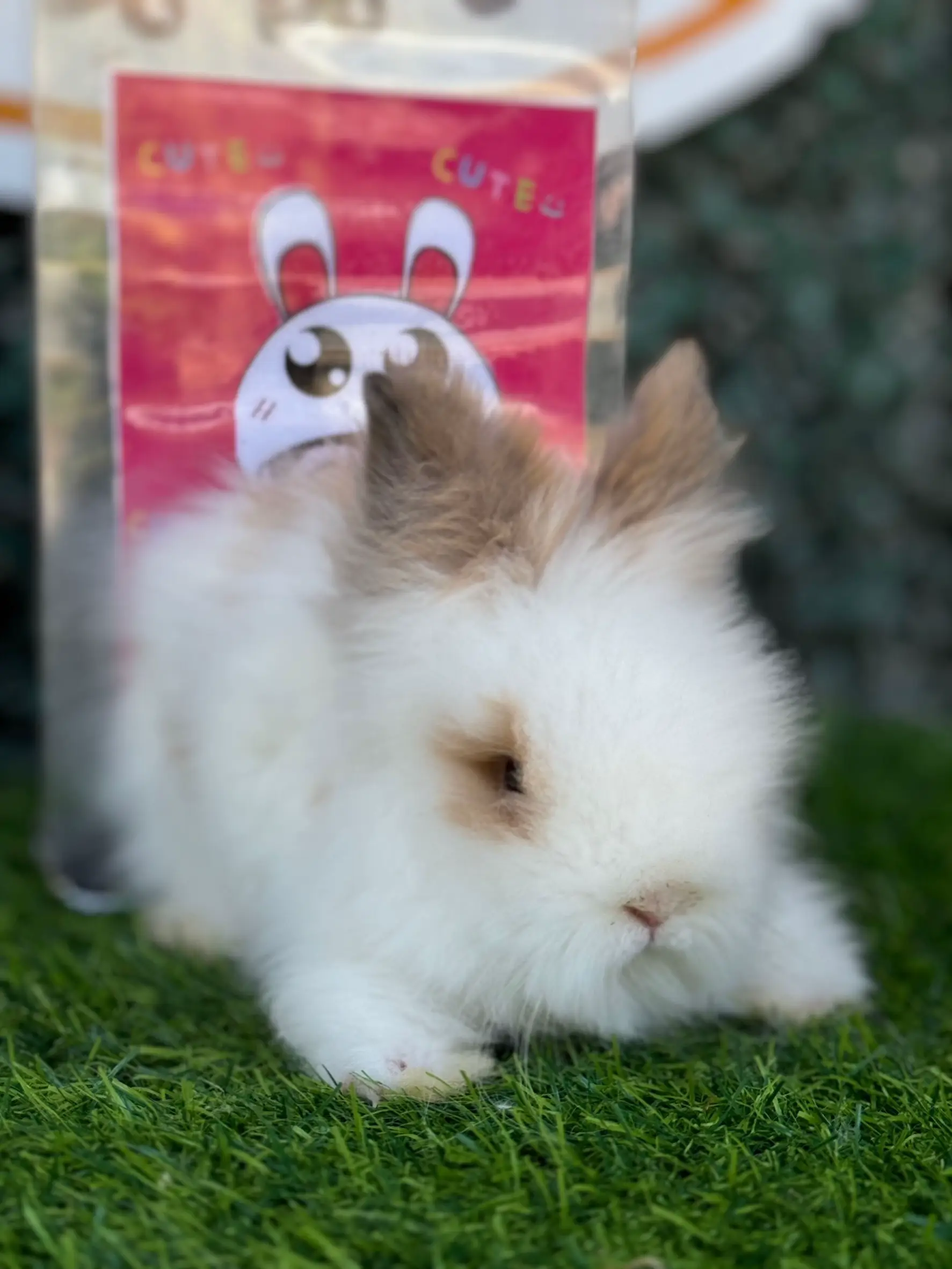 優しいお姉さんうさぎ ぬいぐるみ アーティストベア ハンドメイド 海外