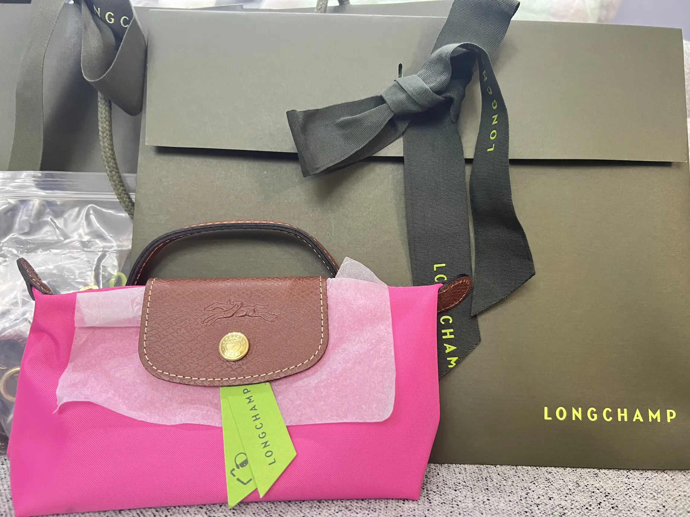 Hi! Here's a quick what's in my bag, I feel like this Longchamp LE PLI