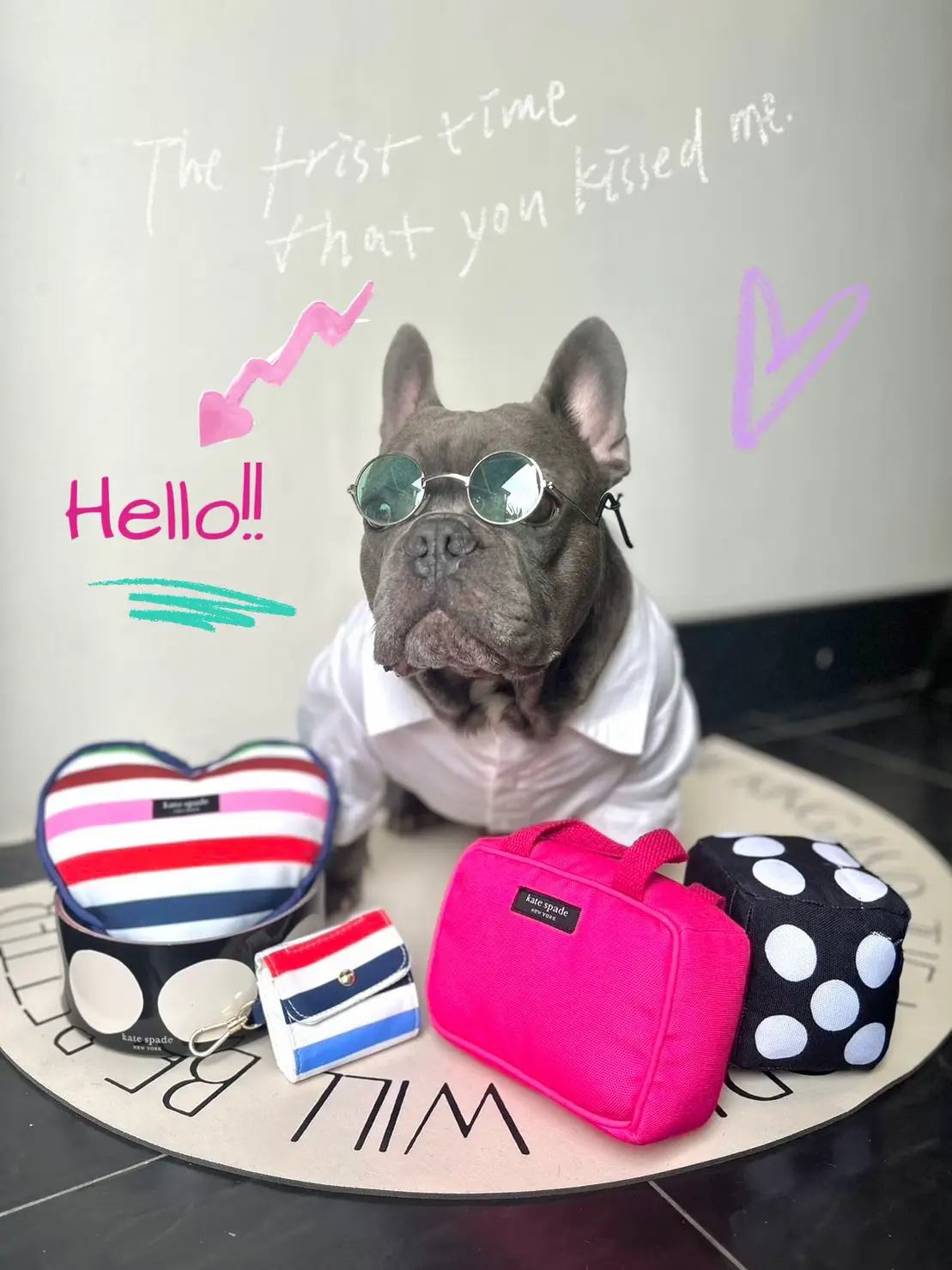 Kate spade cheap french bulldog handbag