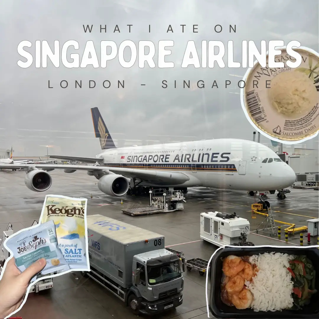 what i ate on my flight back to sg from london ✈️🍜 | Gallery