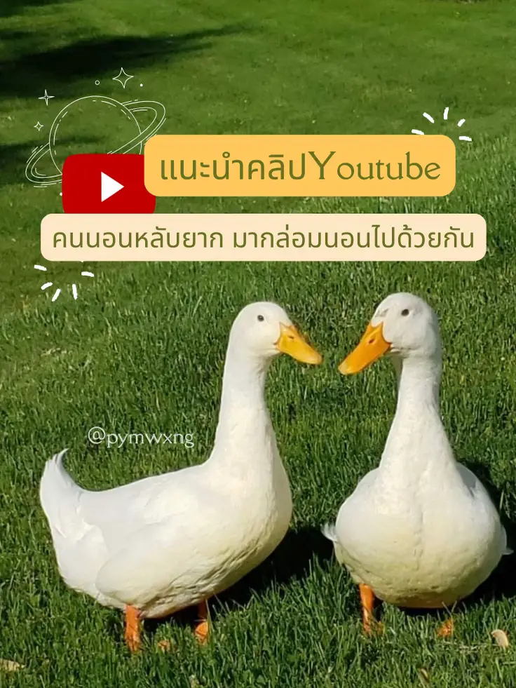 youtube-pymwxng